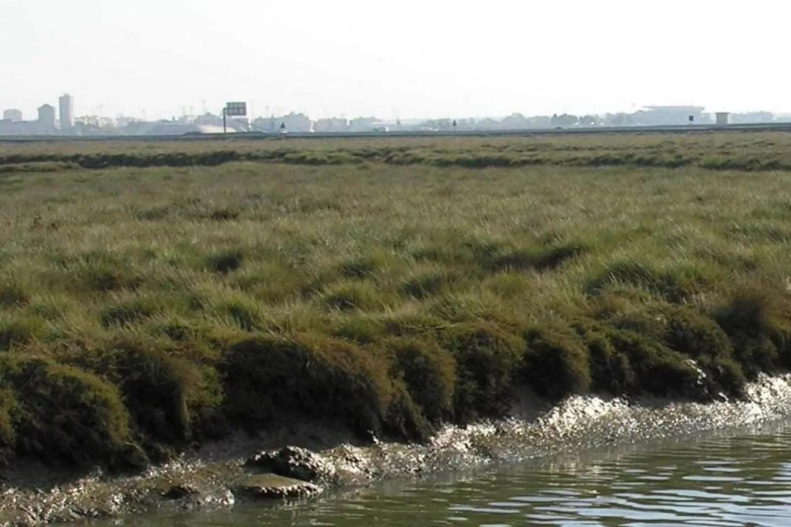 El Soto de Marbella-Zones été à 20 km