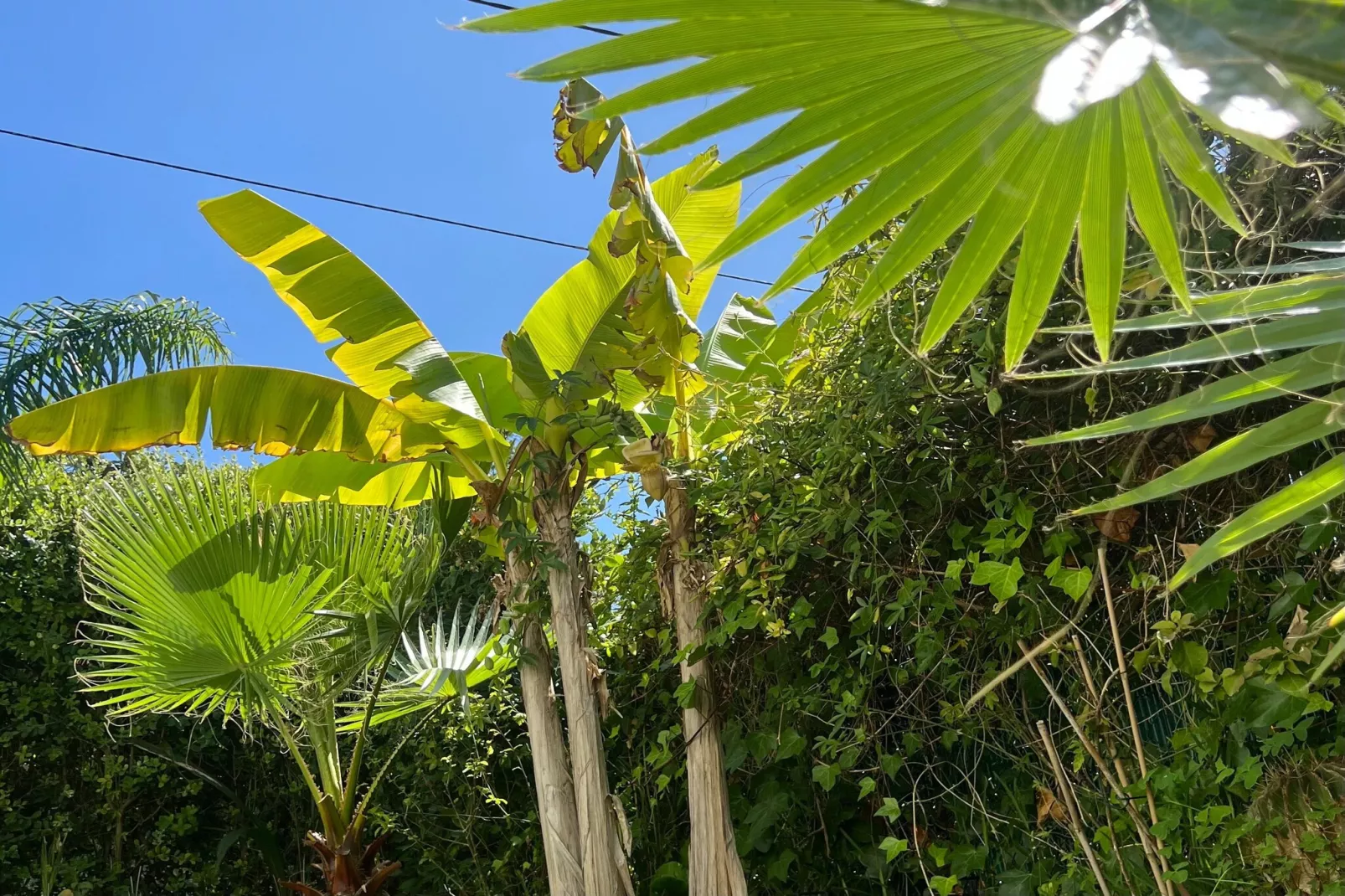 Casa Porto do Son-Jardins en été