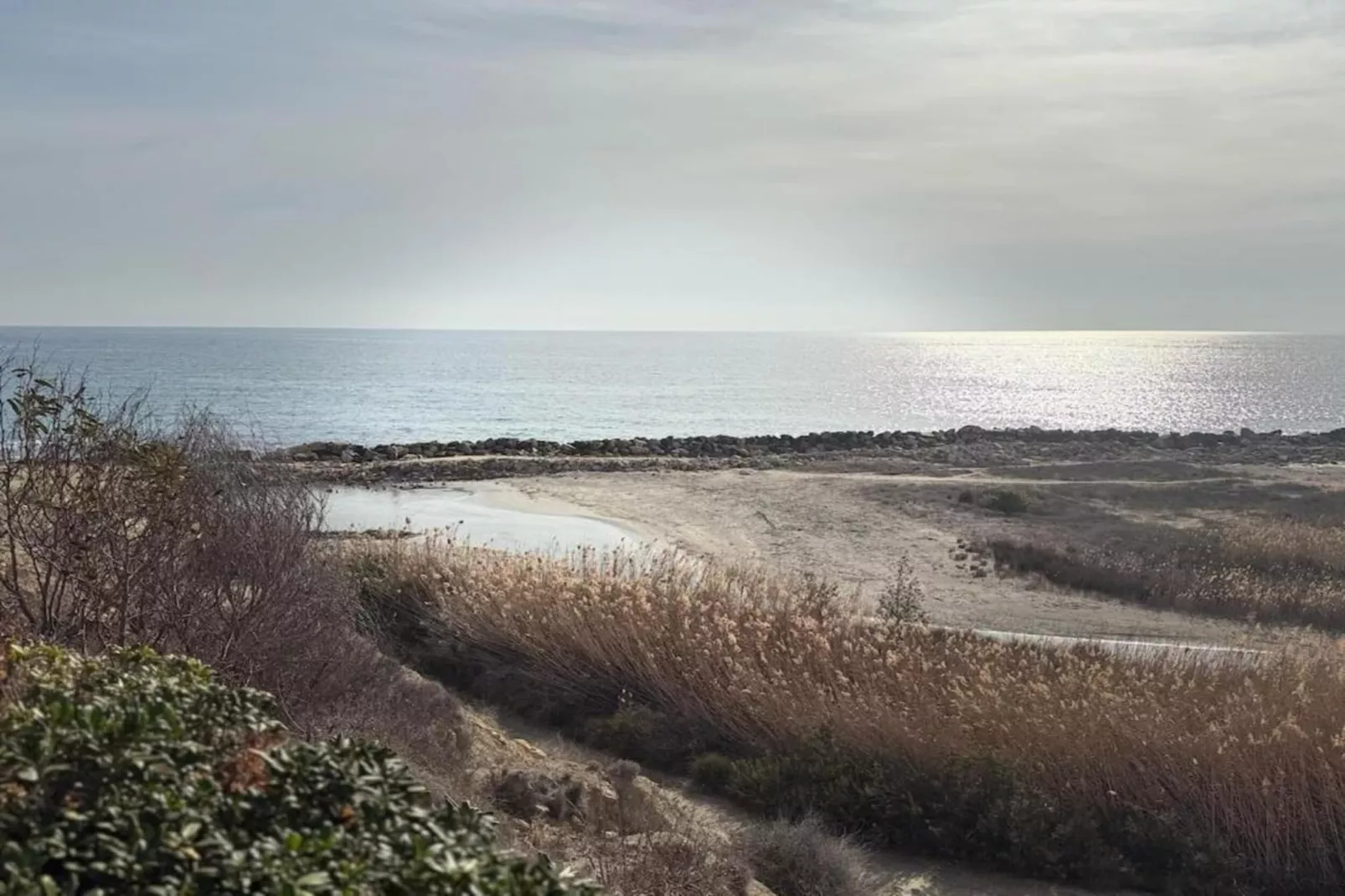 Resort Costa Blanca 4-Areas within 1km in summer