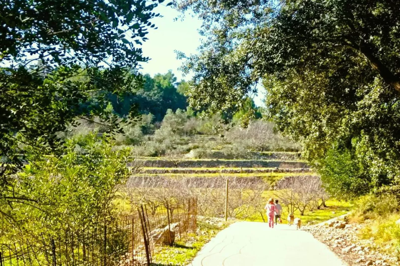 Finca Caballo Verde-Areas within 5km in summer