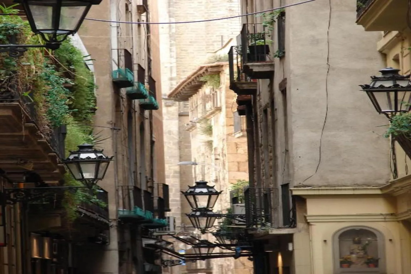 Cal Sant Miquel-Areas within 20km in summer