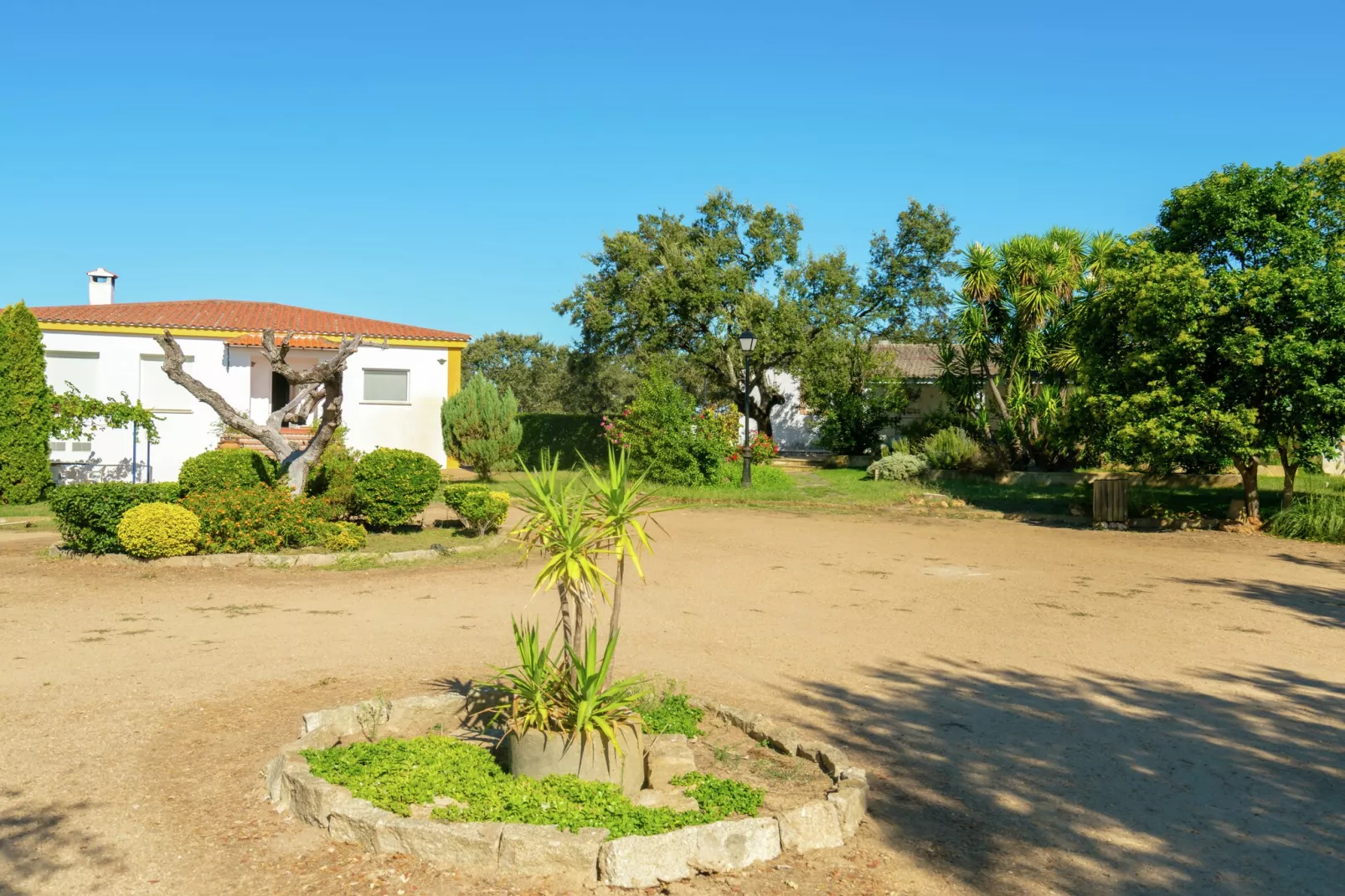 Malvarrosa-Exterior in summer