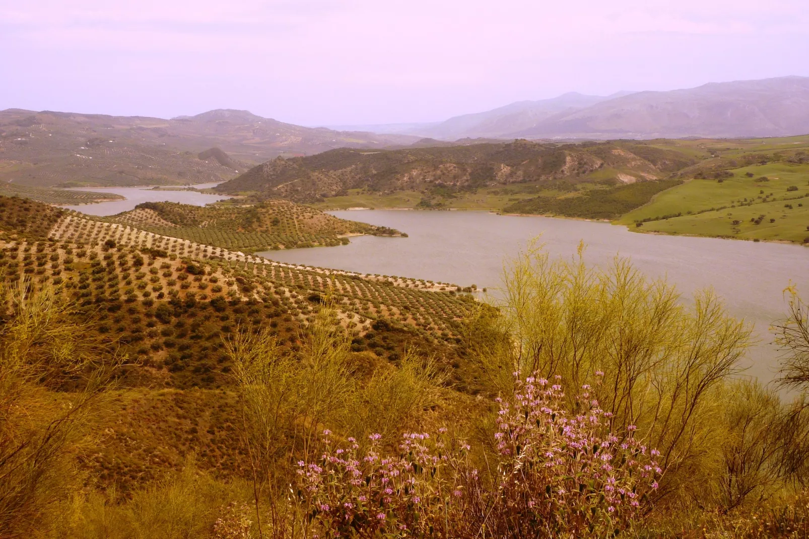 Posada del Silillo-Areas within 1km in summer