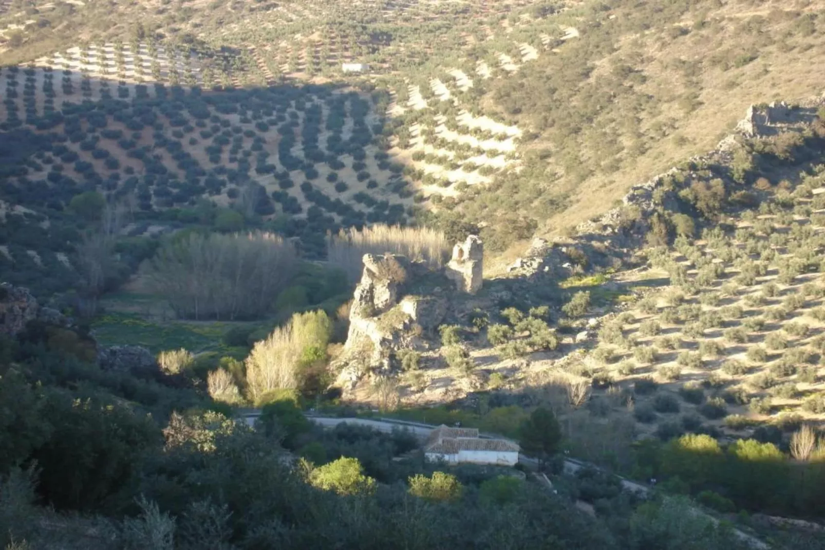 El Molino-Areas within 20km in summer