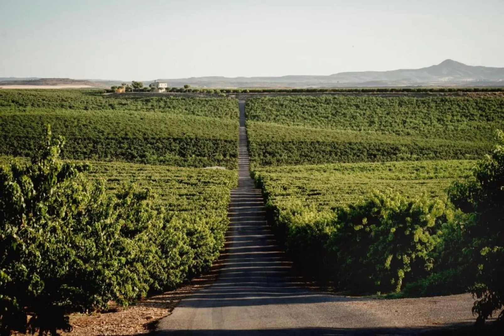 LA TORRE DE SEBASTIA-Areas within 20km in summer