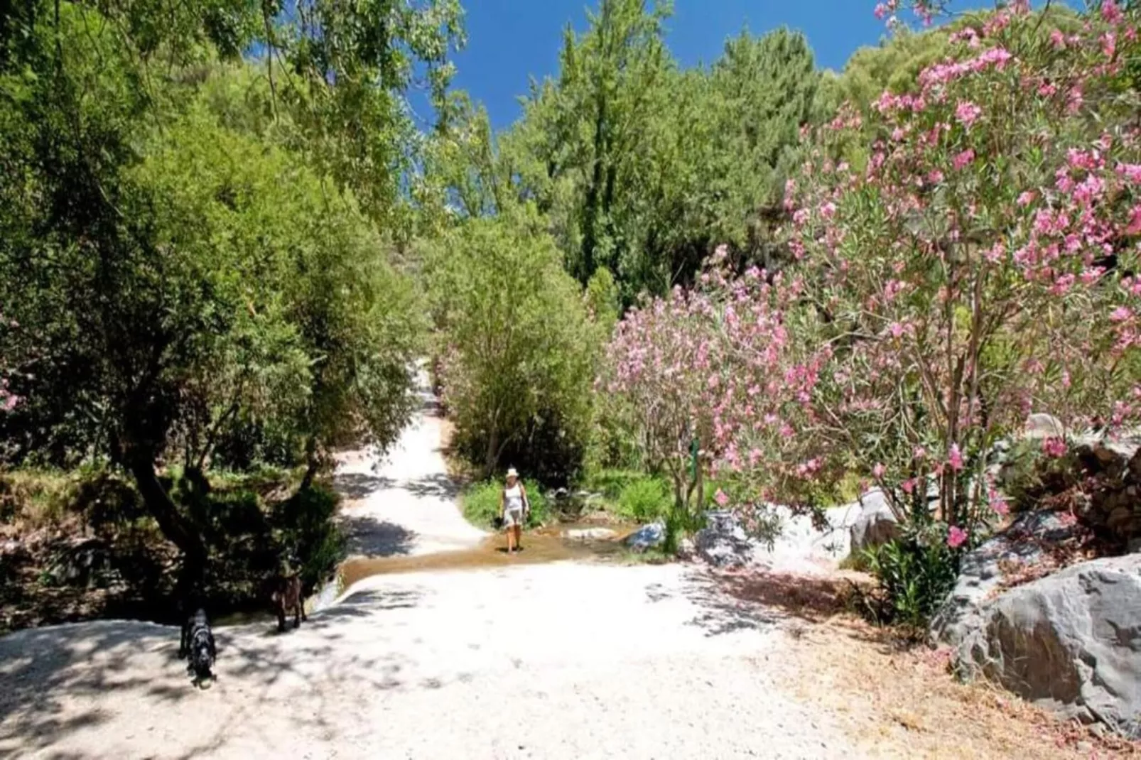 El Kedel-Gebiete Sommer 20 km