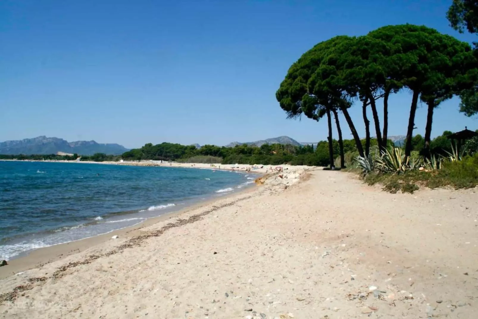 Nobis Los Pinos 2-Areas summer 1km