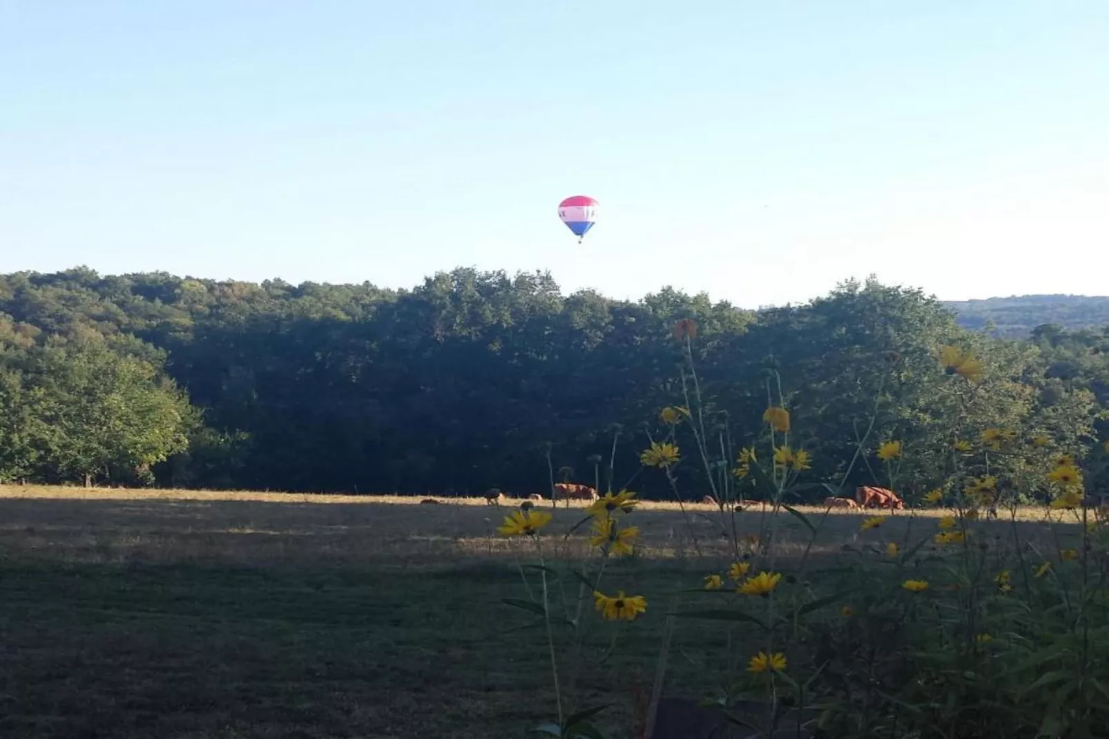 Raffard-Gebiete Sommer 5 km