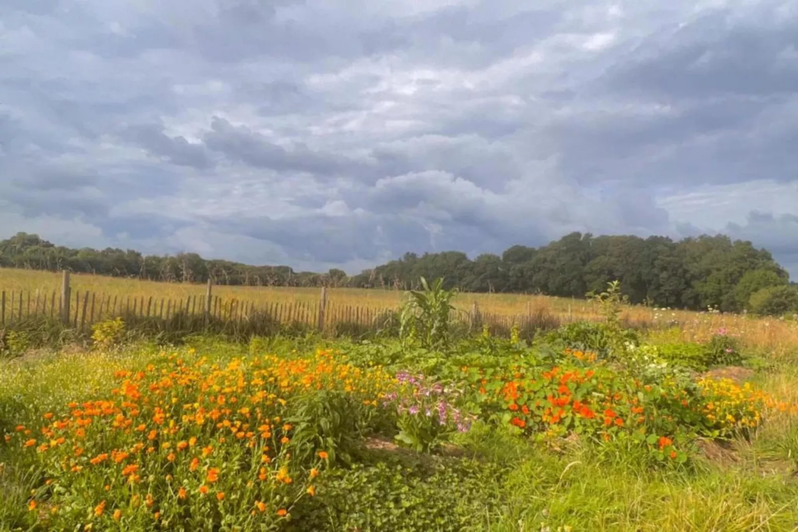 Maison Typique Bretonne-Areas within 20km in summer