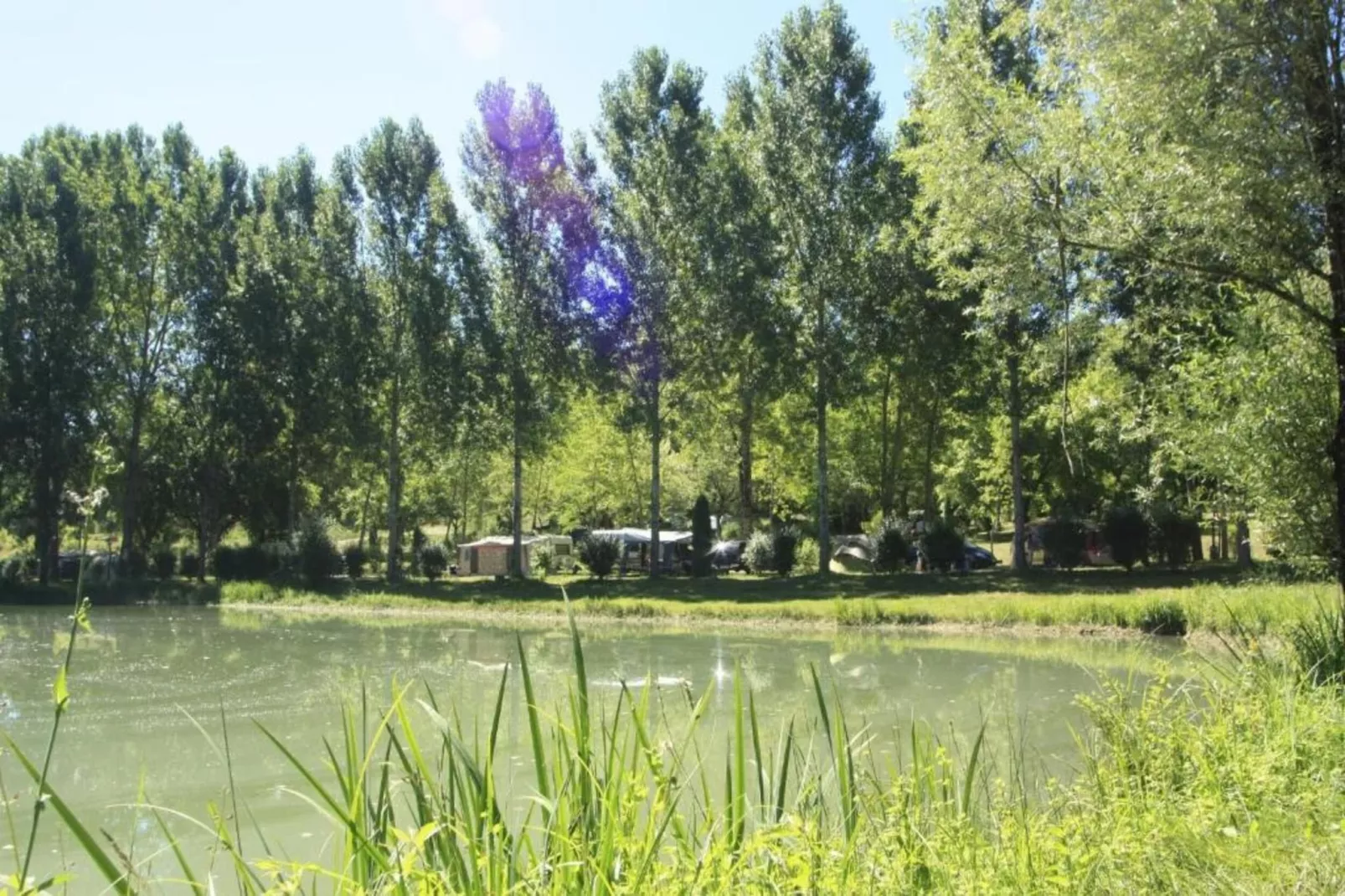 Le Phénix-Areas within 5km in summer