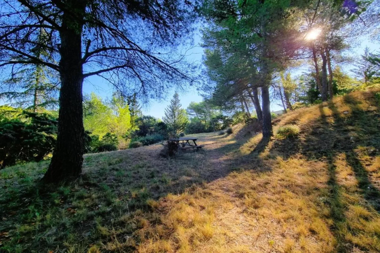 Aux Arbres Verts-Areas within 5km in summer