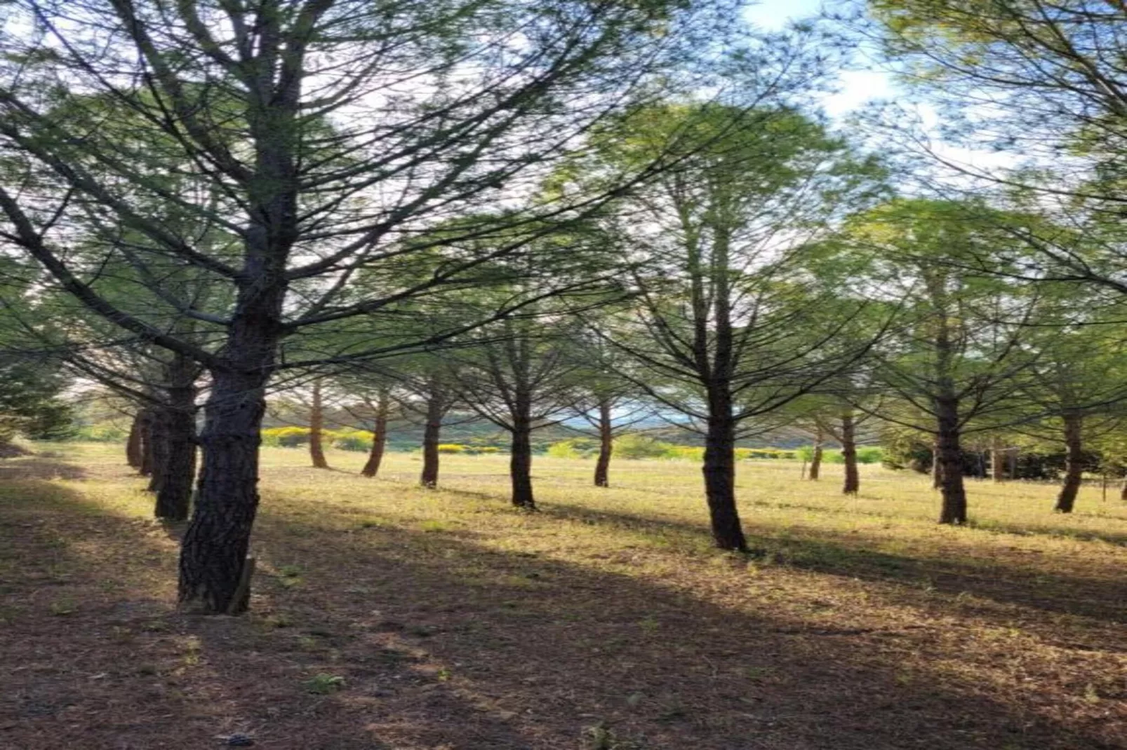 Villa Vignes et Bambous-Zones été à 5 km