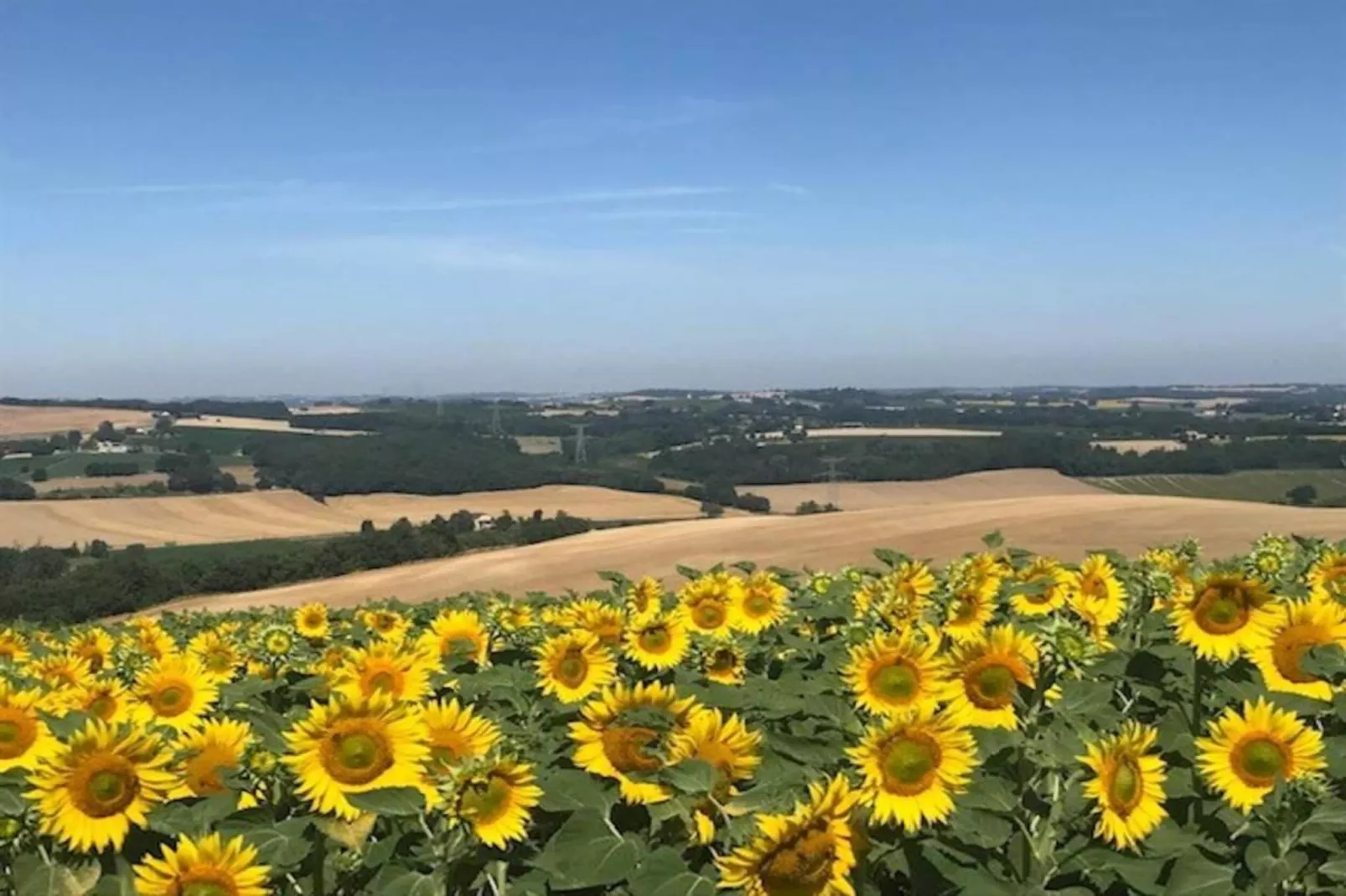 Le Chêne-Liège-Gebiete Sommer 20 km
