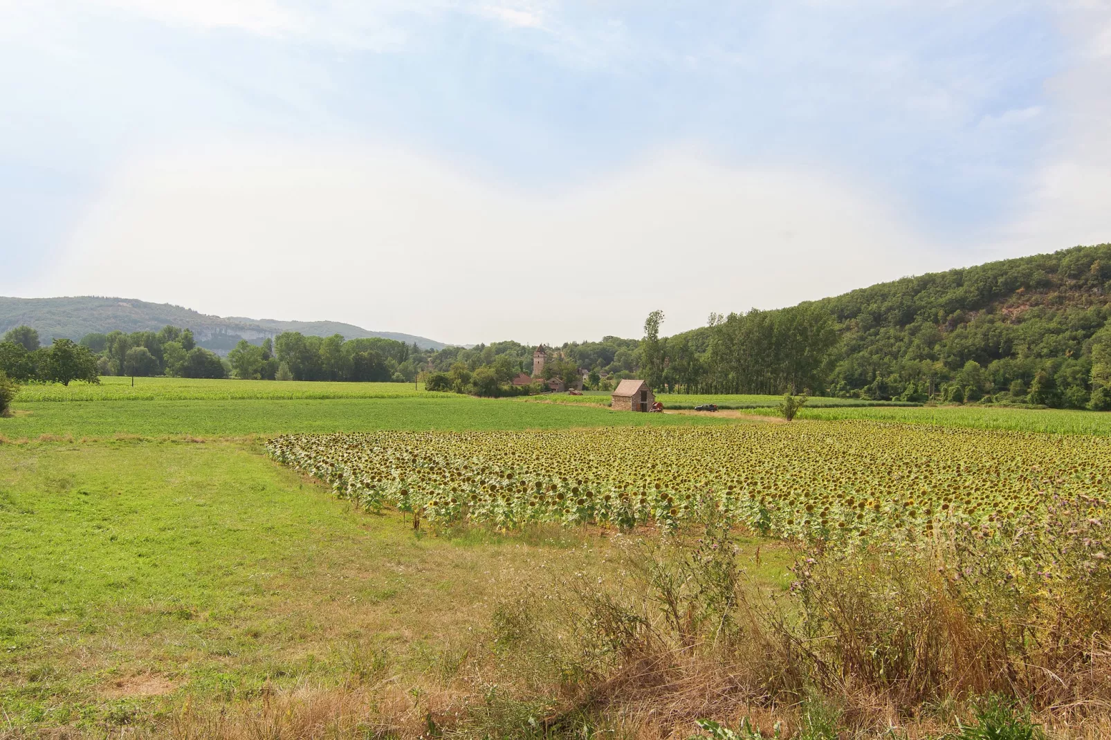 Belle Demeure Ribot 11 Pers-Gebiete Sommer 1 km