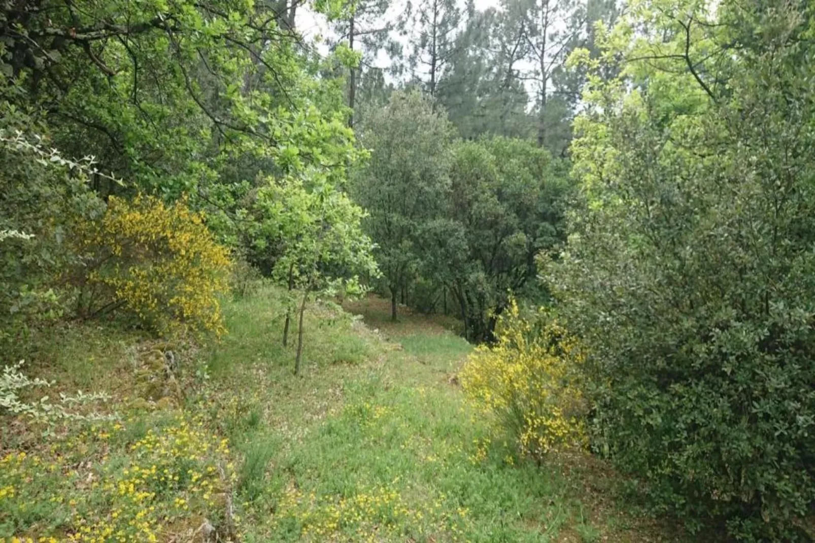 Villa - LARGENTIÈRE-Zones été à 20 km