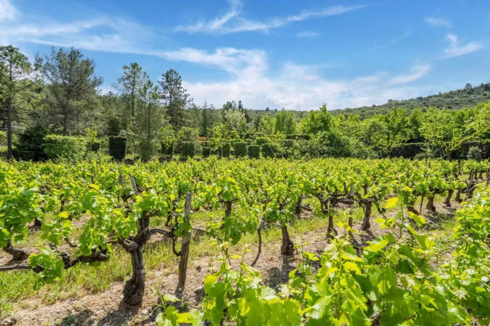 Villa - Les Vans 5pers-Areas within 5km in summer