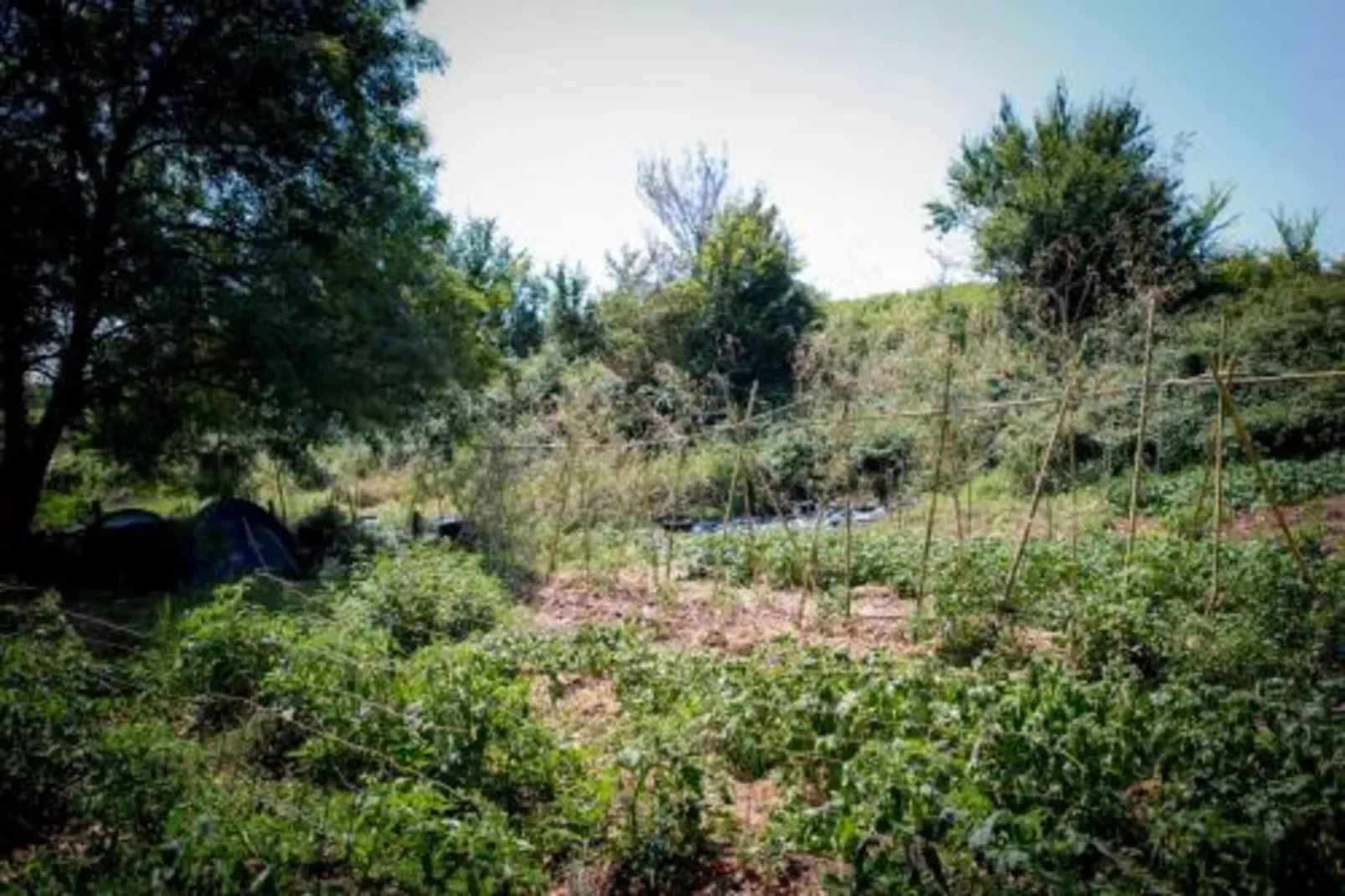 Cendrieux-Zones été à 20 km