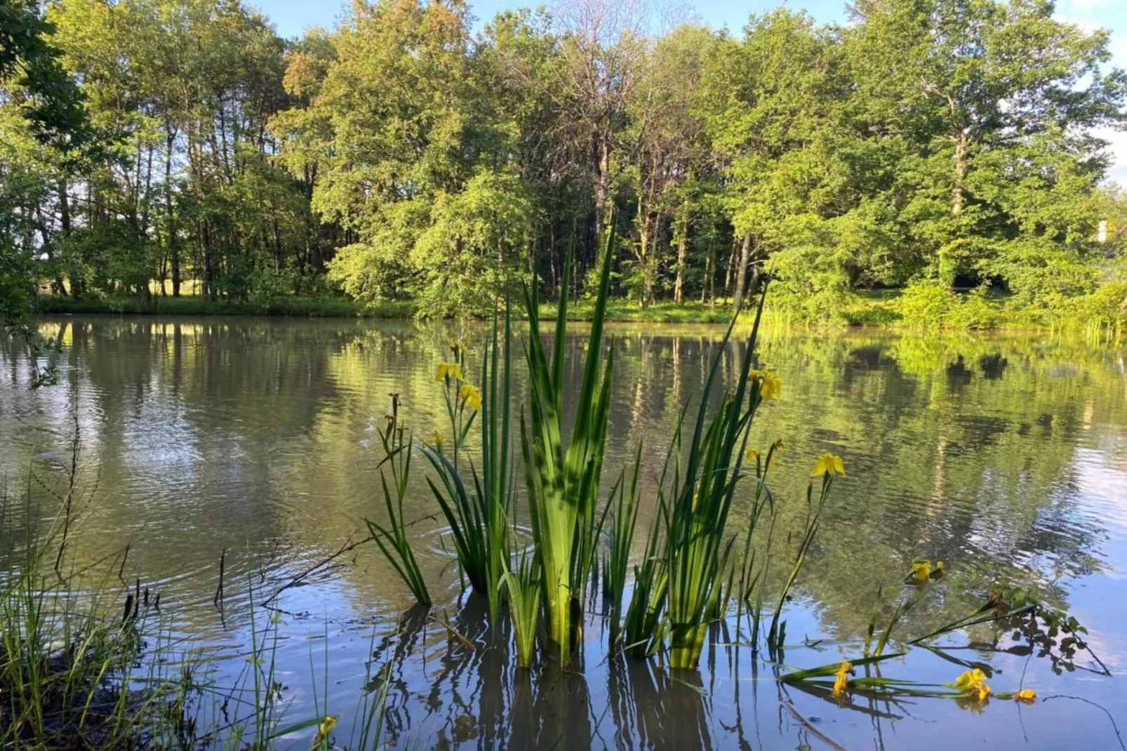 Maison Le Perrot-Gebiete Sommer 20 km