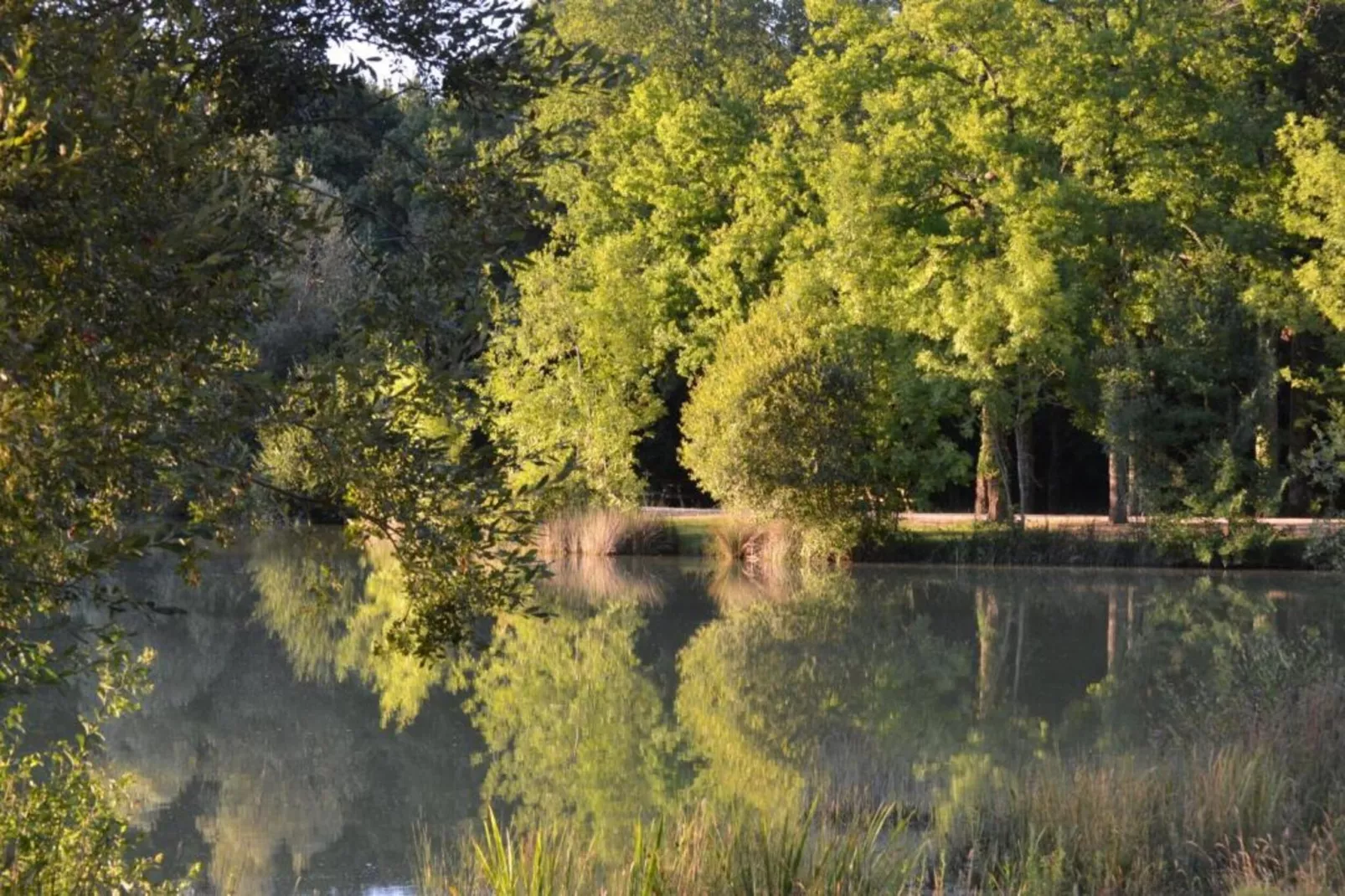 Le petit Nichoir-Areas within 20km in summer