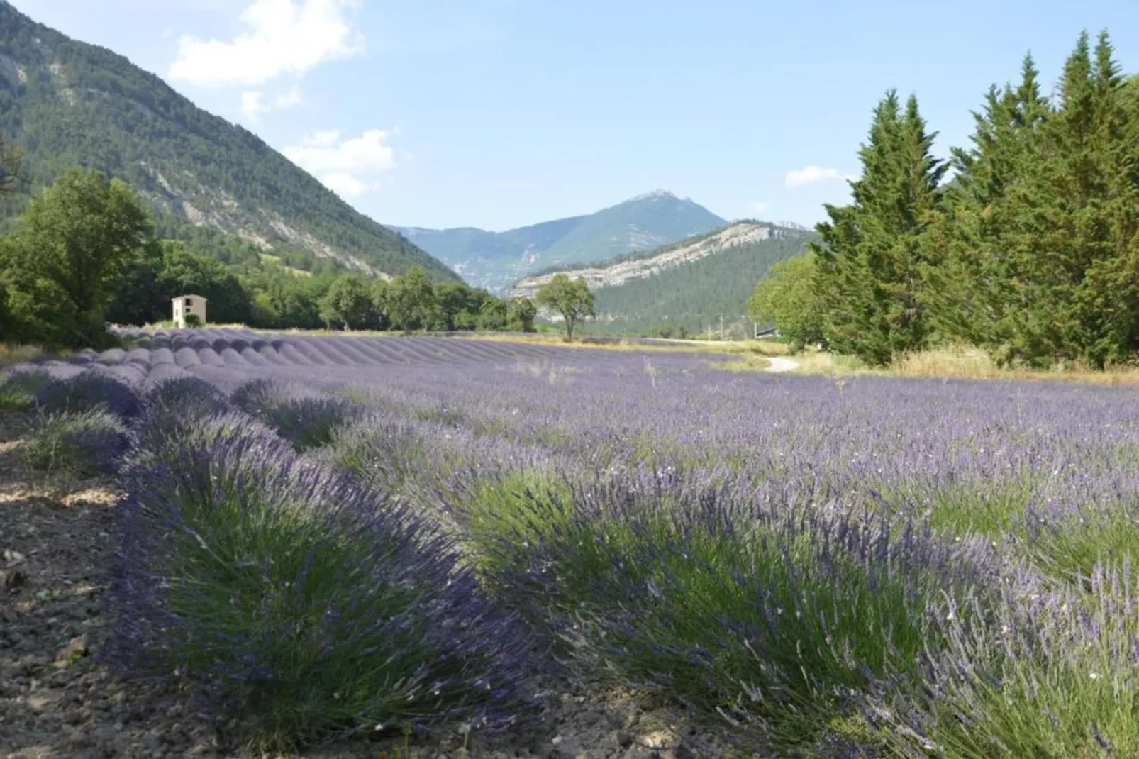 Maison de vacances - MARIGNAC-EN-DIOIS-Gebiete Sommer 20 km