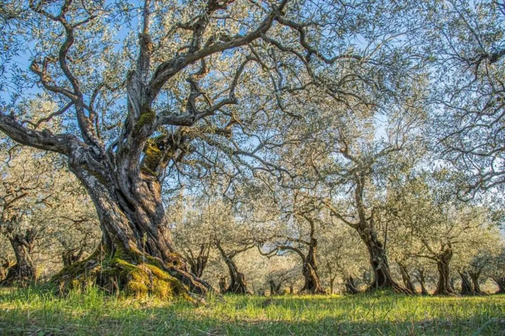 Villa Enniroc-Areas within 20km in summer