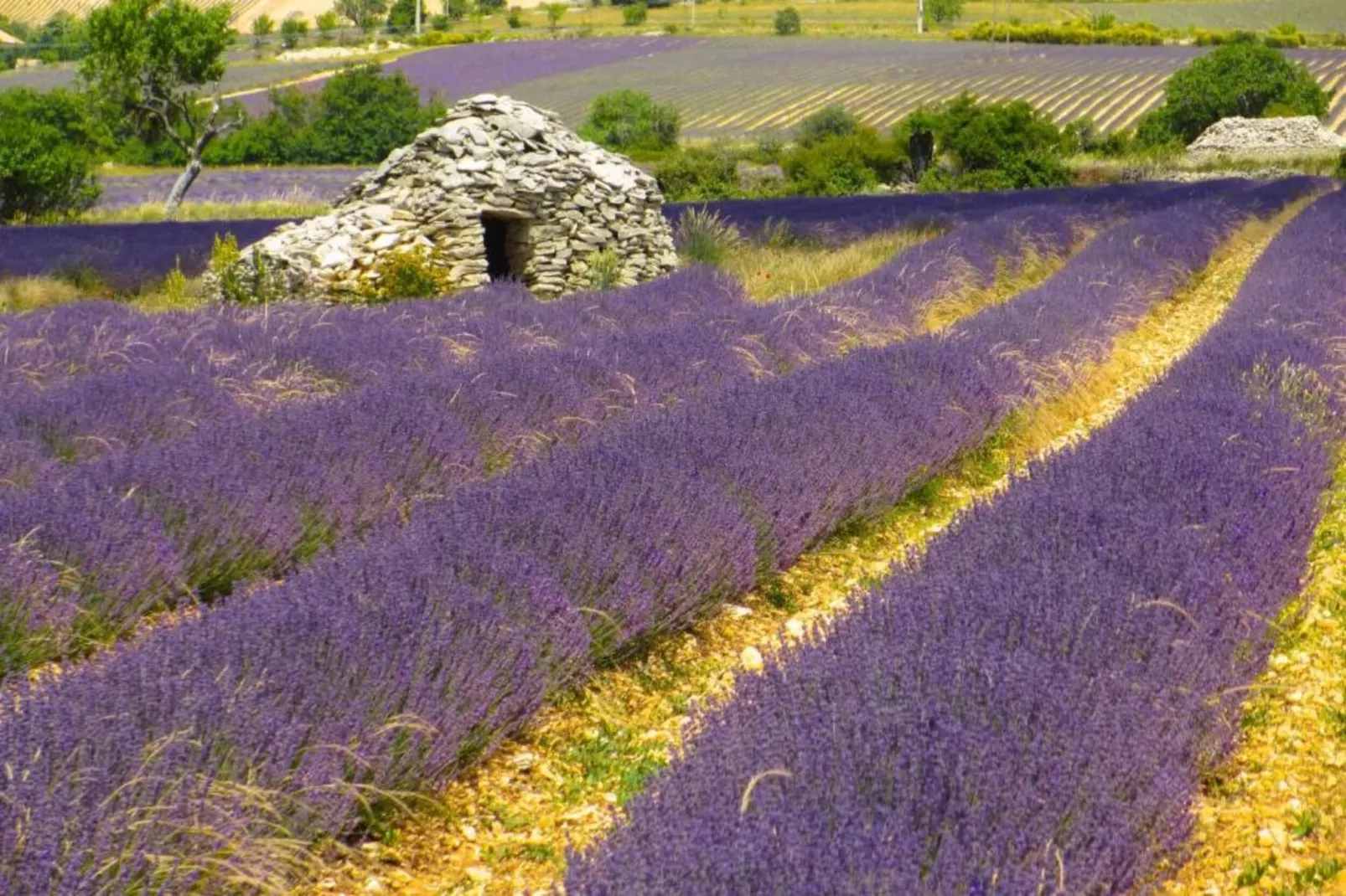 Au château près du Ventoux V-Areas within 5km in summer