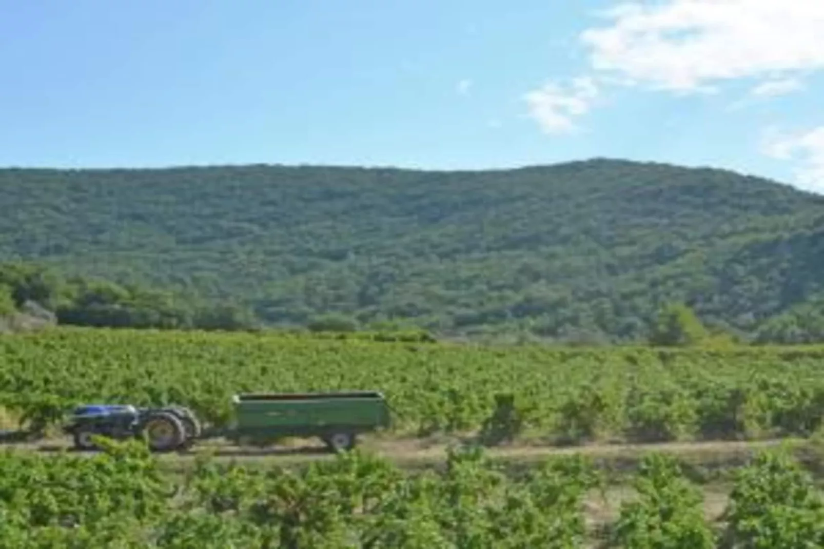 L'Oliveraie-Areas within 5km in summer