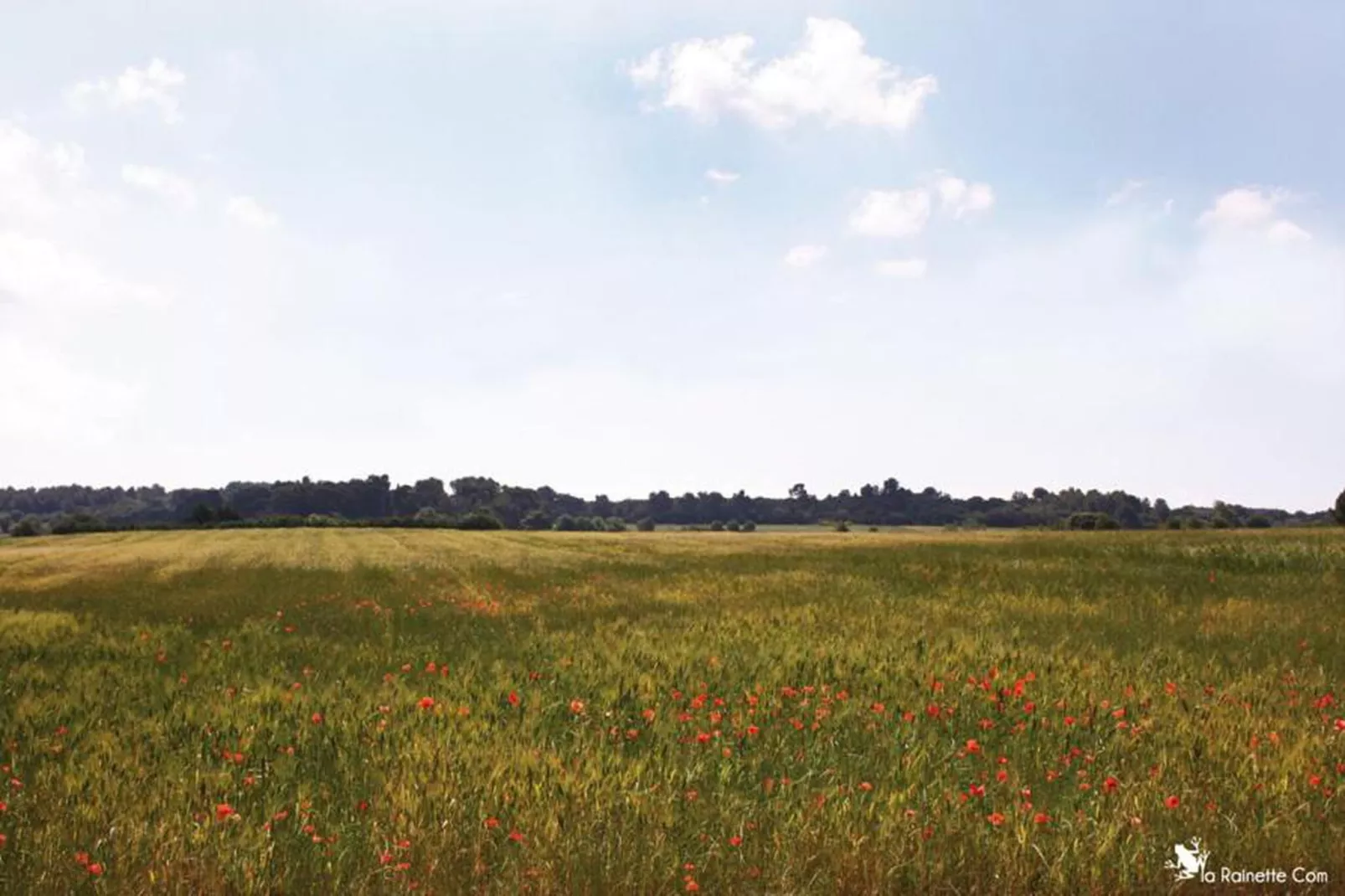 Le Domaine d'Enserune 3-Areas within 20km in summer