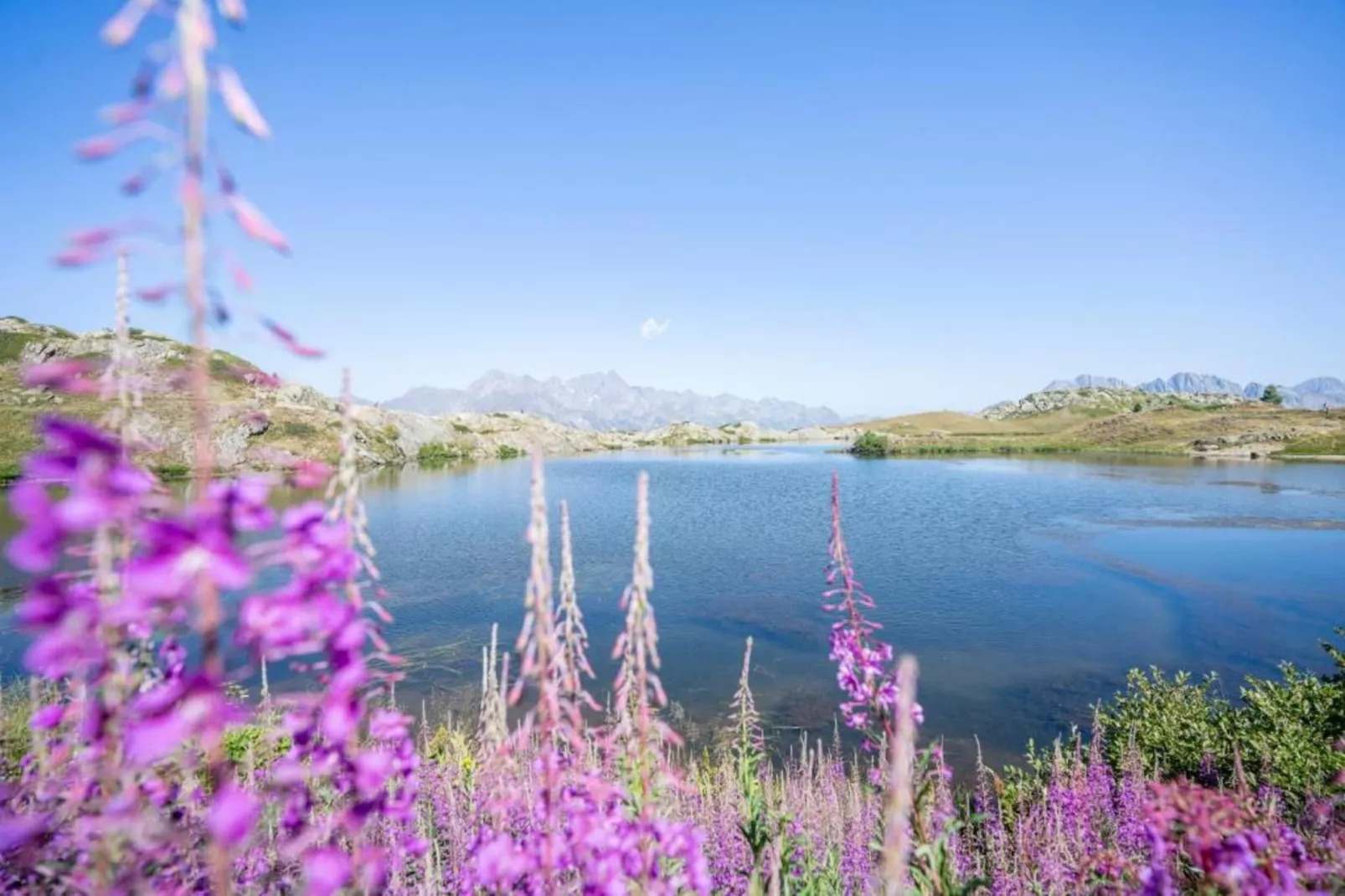 Chalet - Oz-en-Oisans-Zones d'été à 20 km
