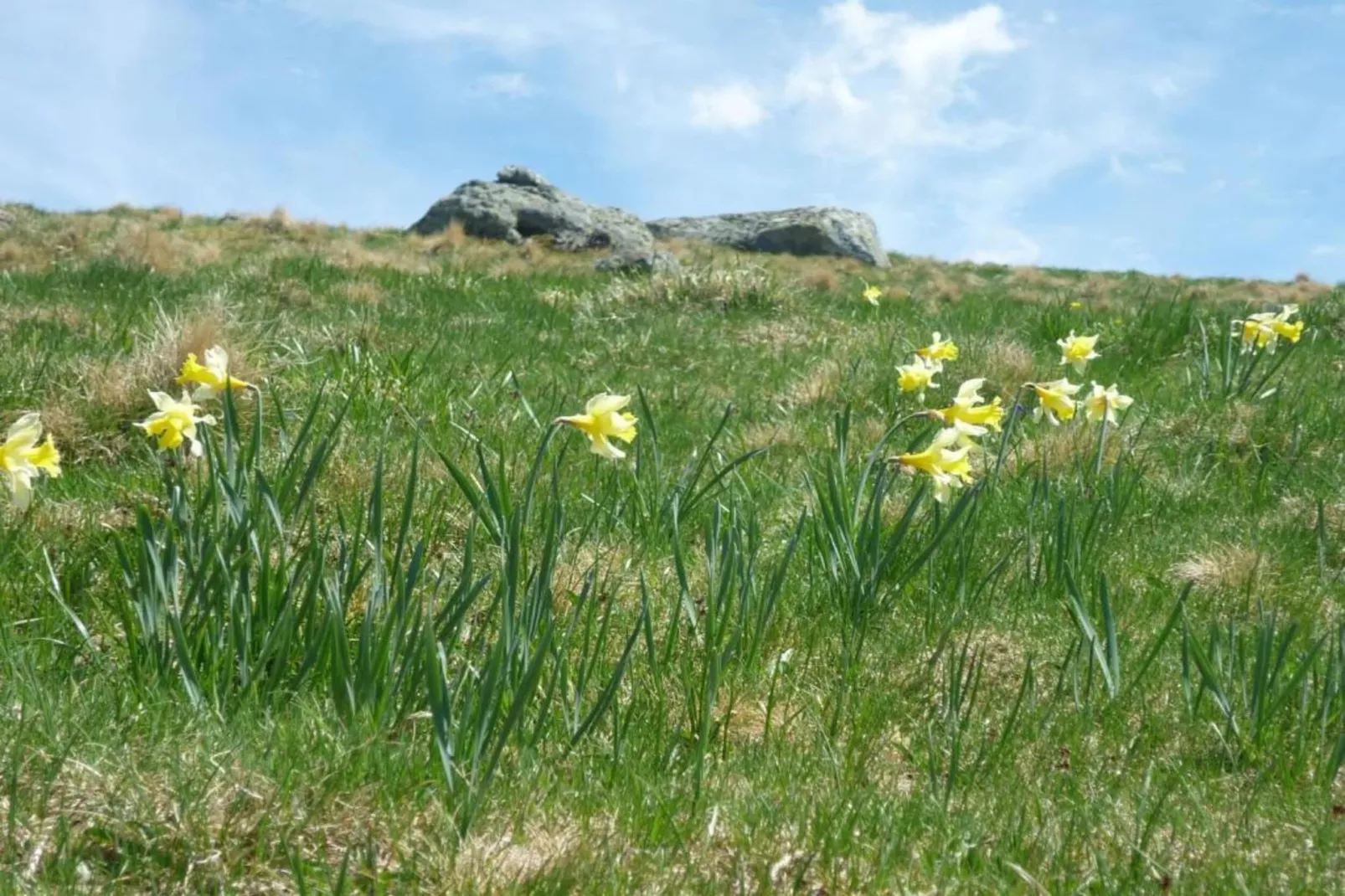 Rougeac-Areas within 20km in summer