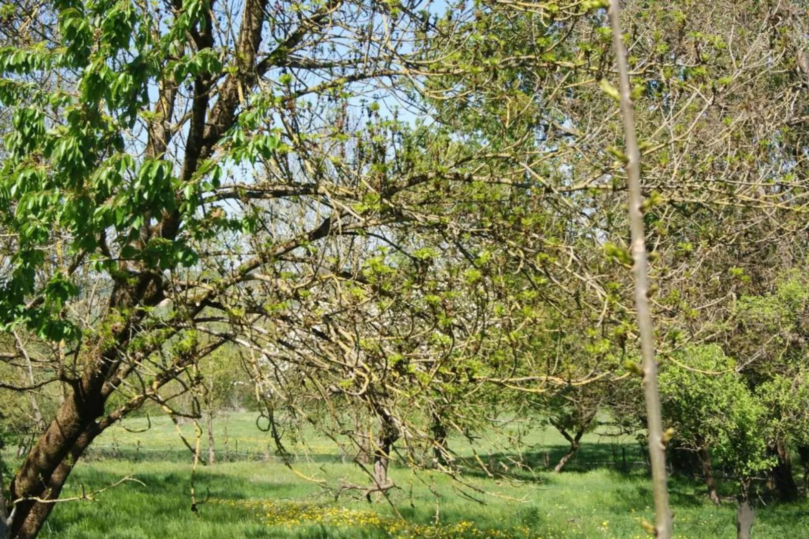 Gite au Grenier d'abondance-Areas within 20km in summer