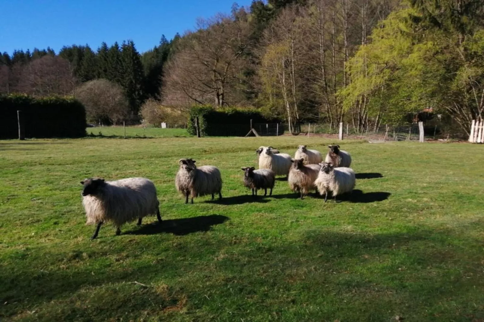 Gîte du Crâ-Zones été à 20 km