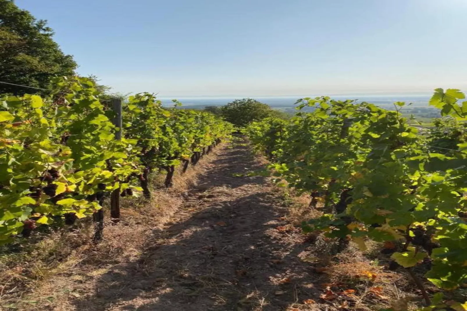 Grand Gite North-Gebiete Sommer 5 km