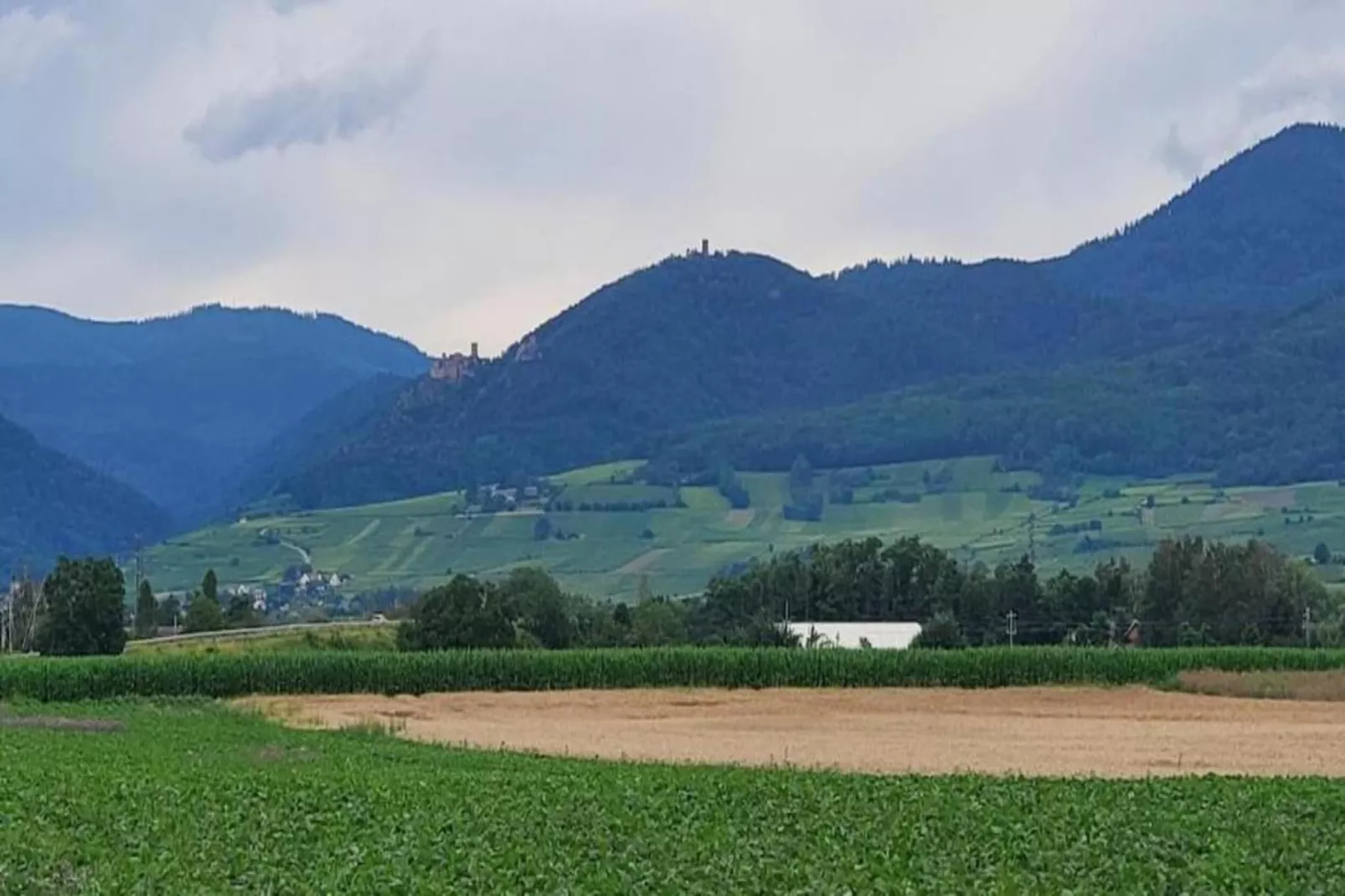 Le Domaine des Rois 1-Areas within 5km in summer