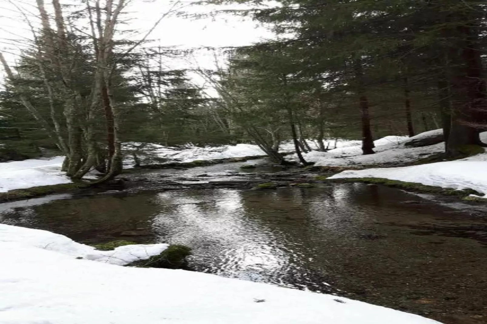Isatis 3-Gebiet Winter 20 km