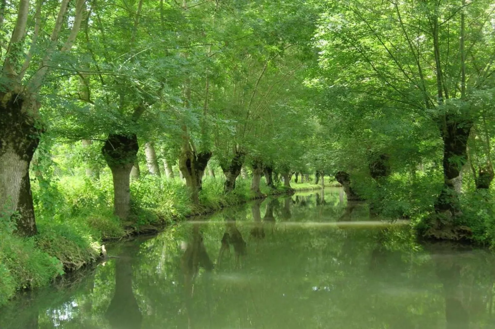 La Rivière-Areas within 20km in summer