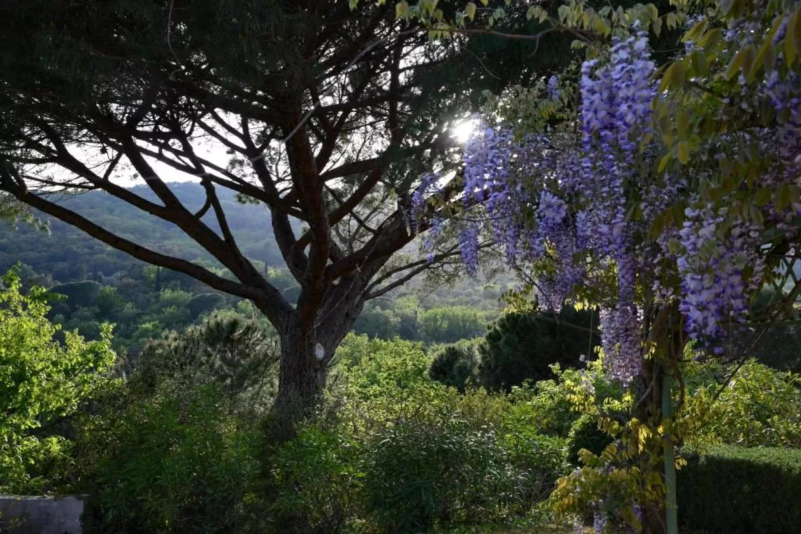 La Palmeraie 1-Areas within 5km in summer