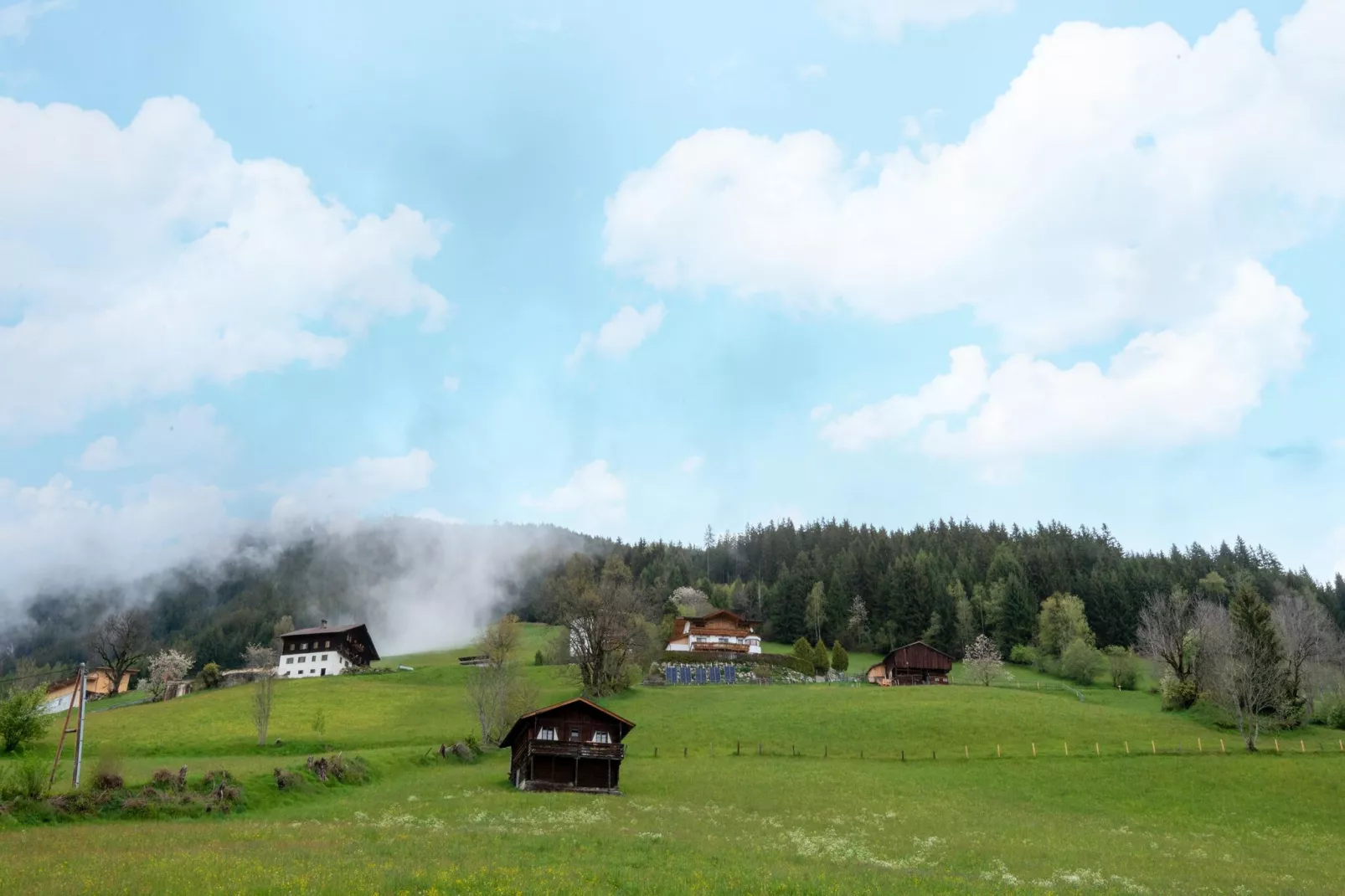 Ahornblick 8PAX-View summer