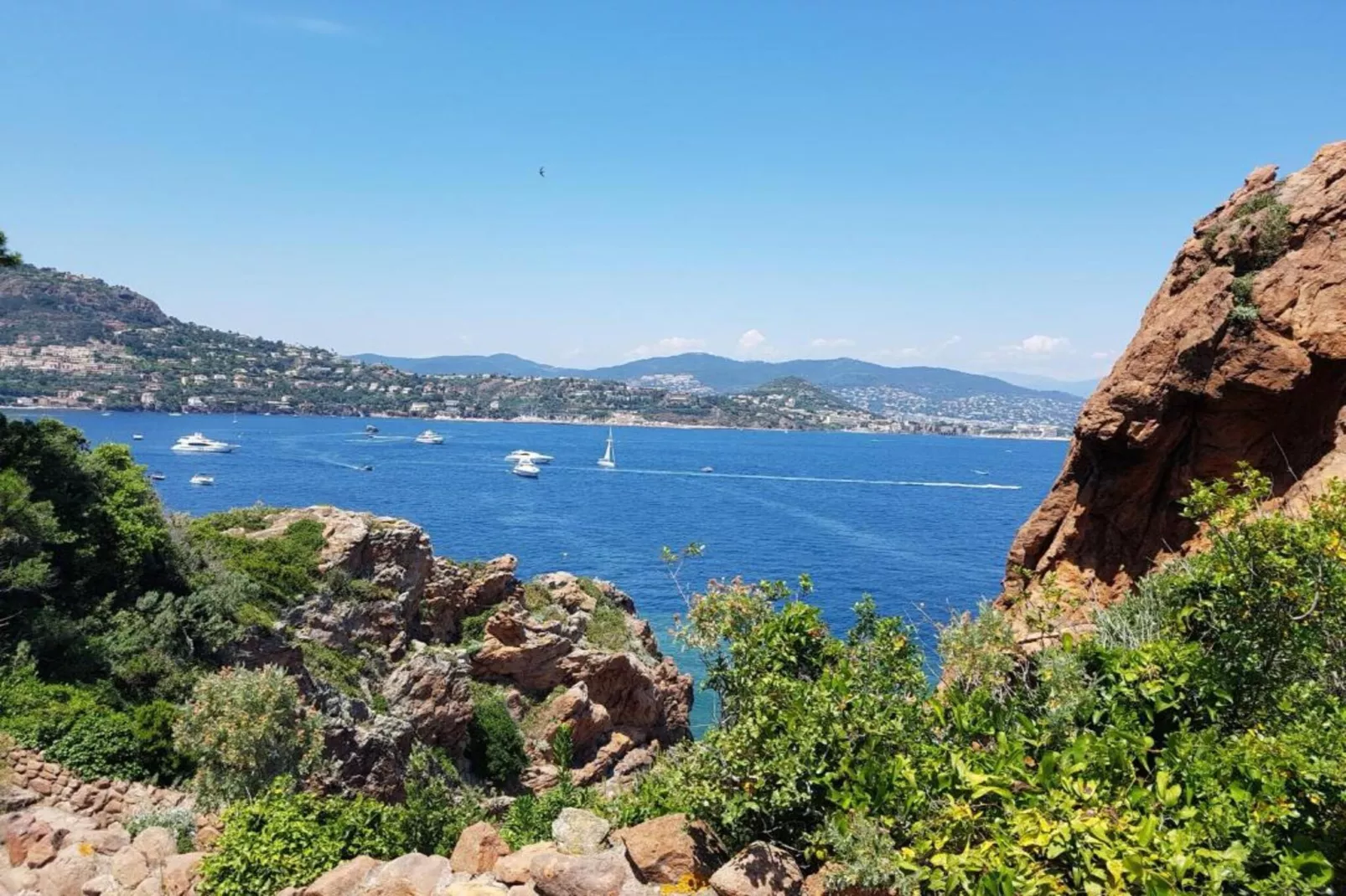 Verdi-Areas within 20km in summer