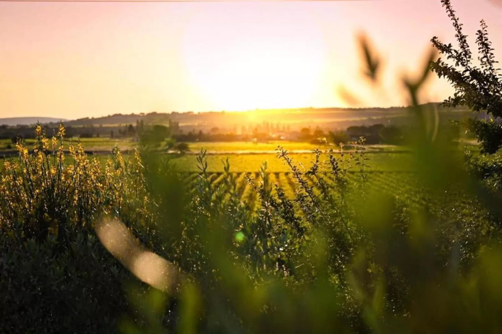 Entre Luberon et Avignon-Areas within 20km in summer