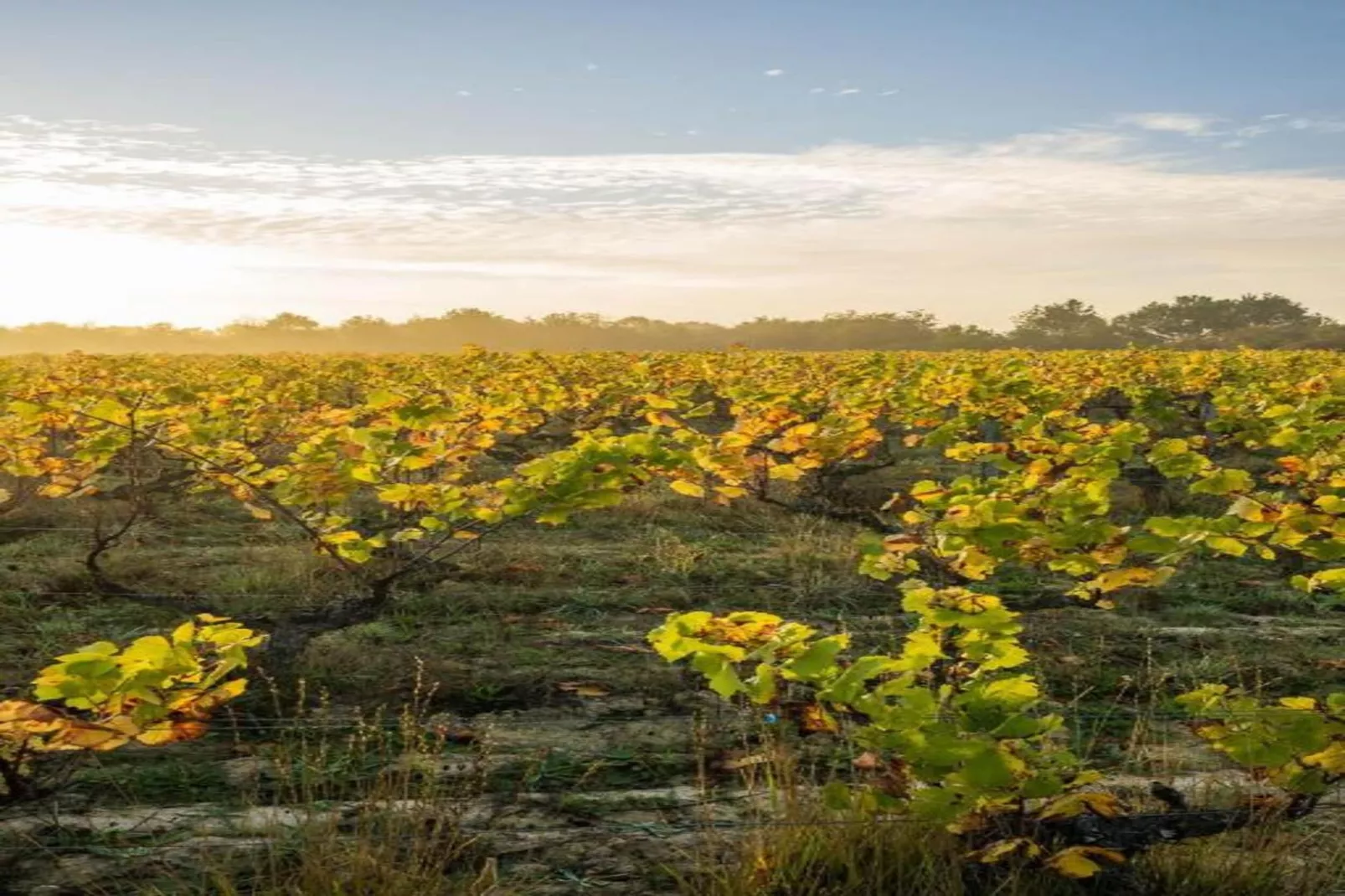 Domaine de Fontenelles 1-Areas within 20km in summer