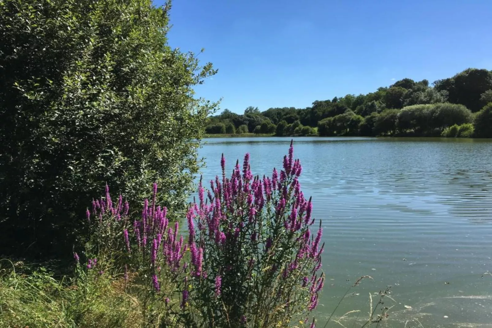 La Tour-Zones été à 20 km