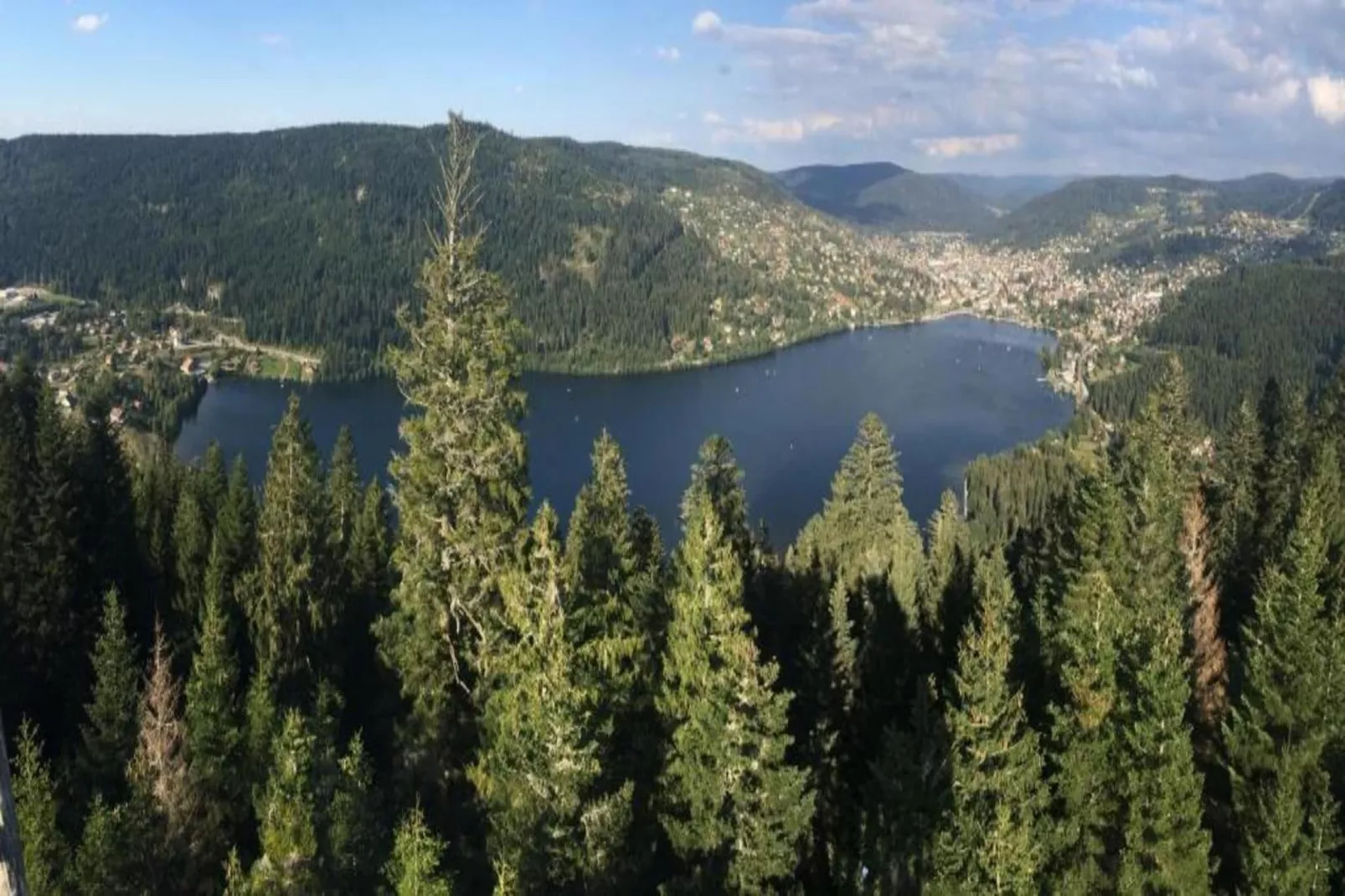 Le Renard-Areas within 20km in summer