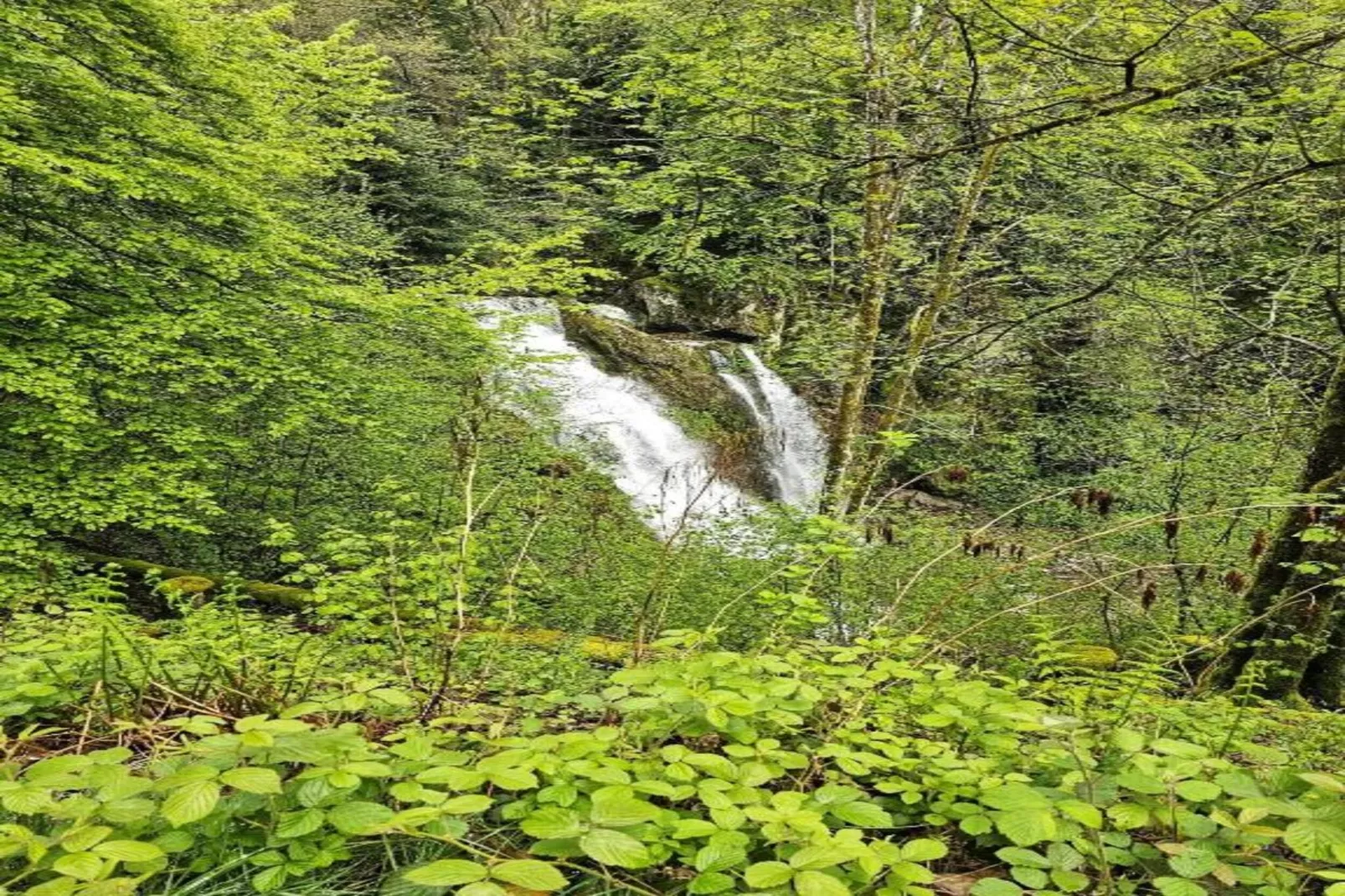 La Bergerie-Areas within 20km in summer