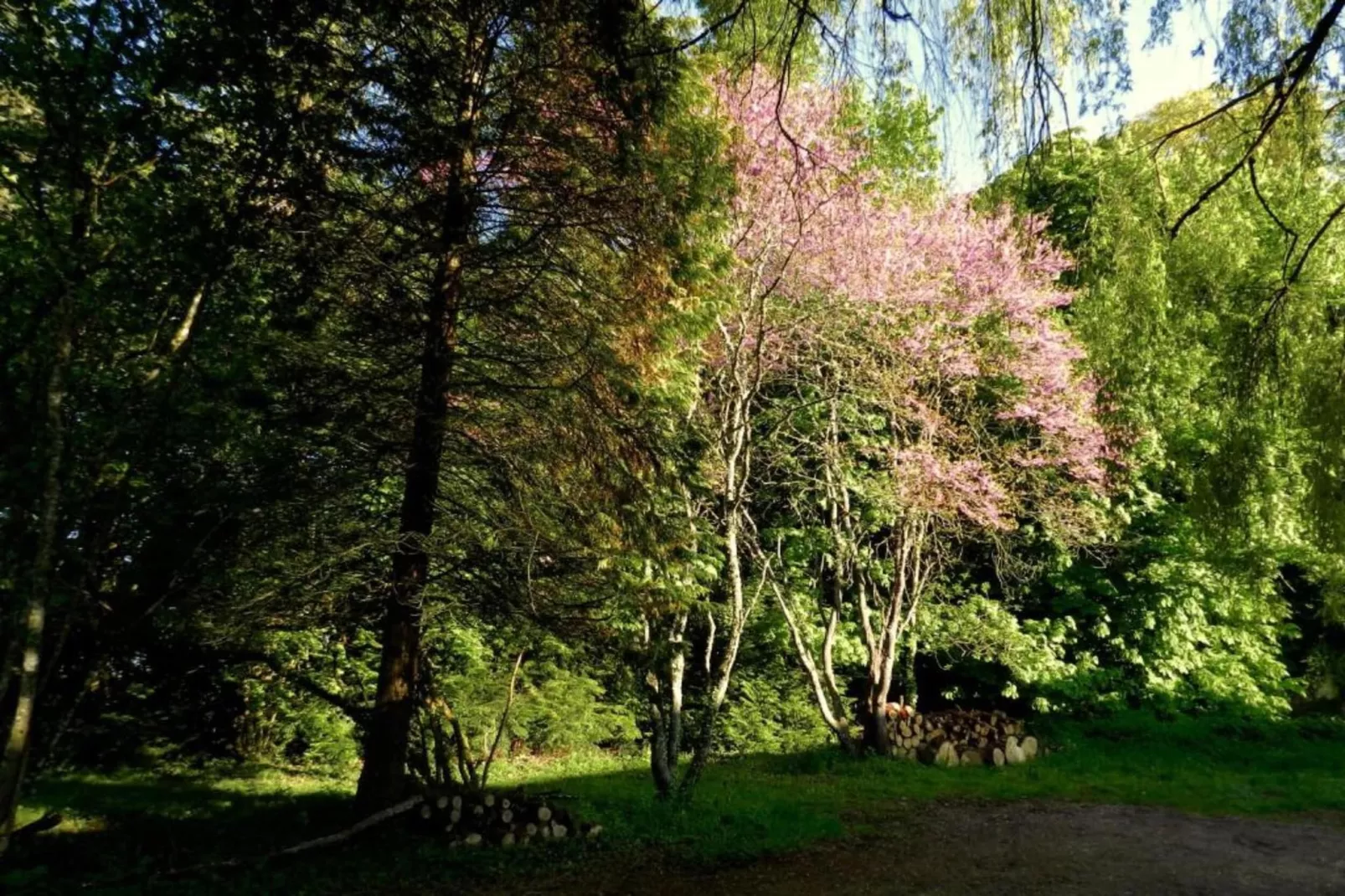 Maison de vacances Diges-Areas within 5km in summer