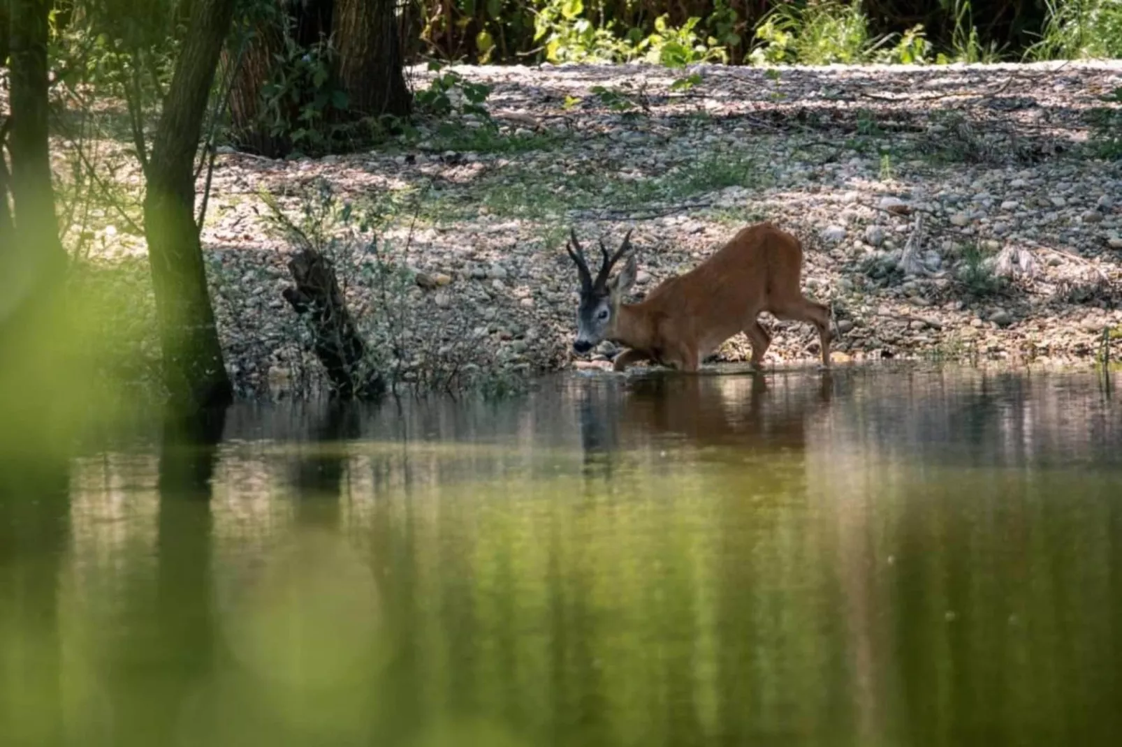 Villa Majestic-Gebiete Sommer 20 km