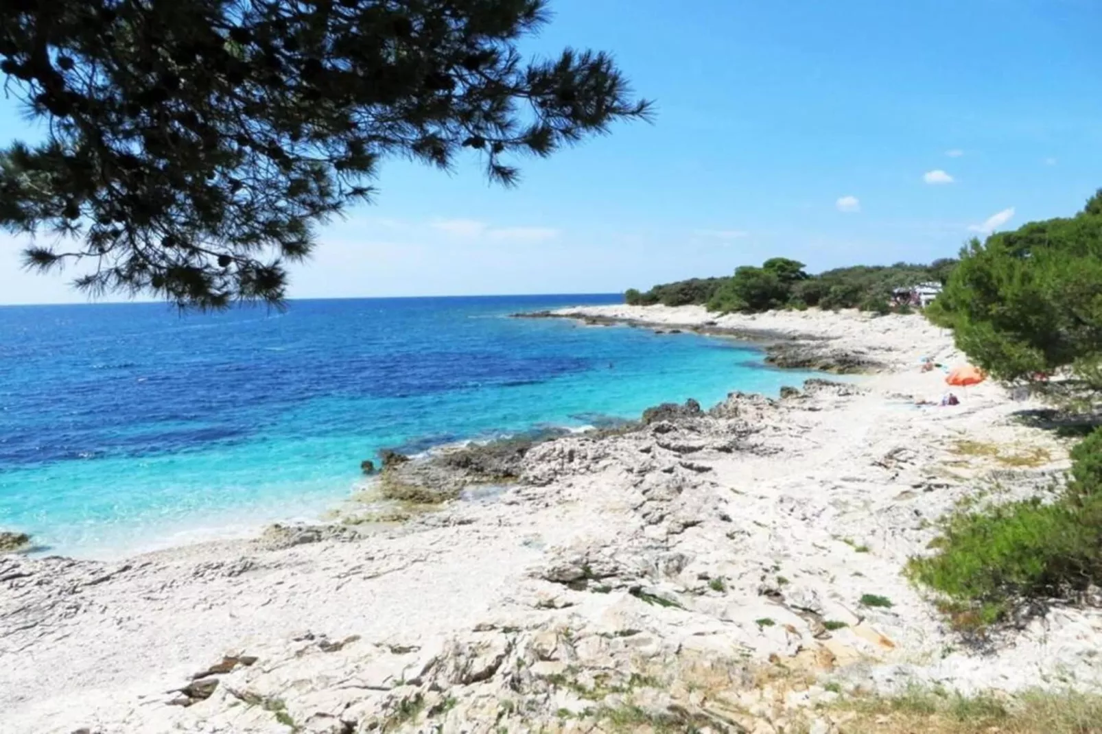 Gorgonia S2-Areas within 1km in summer