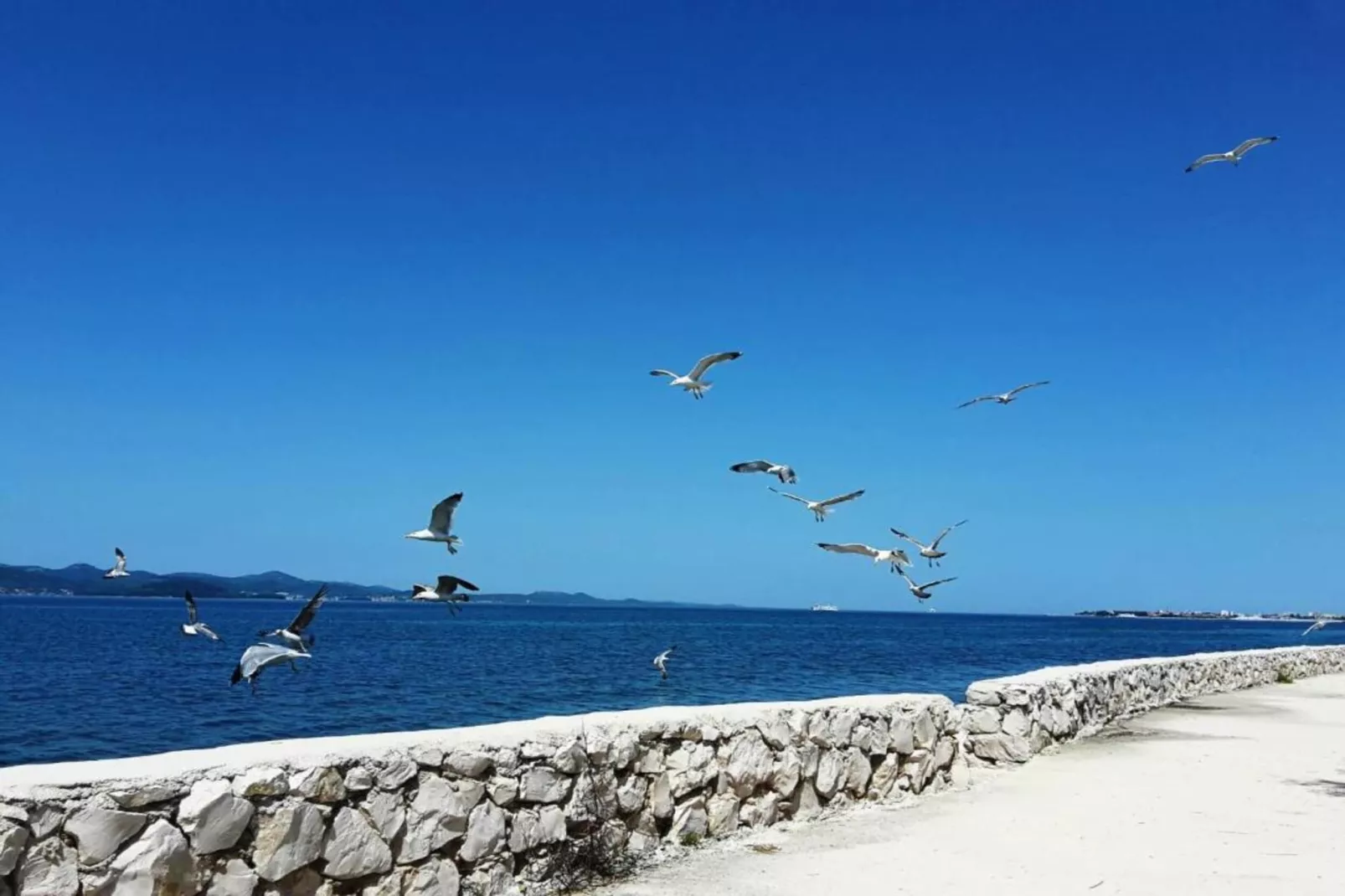 Apartment Palma-Areas within 20km in summer