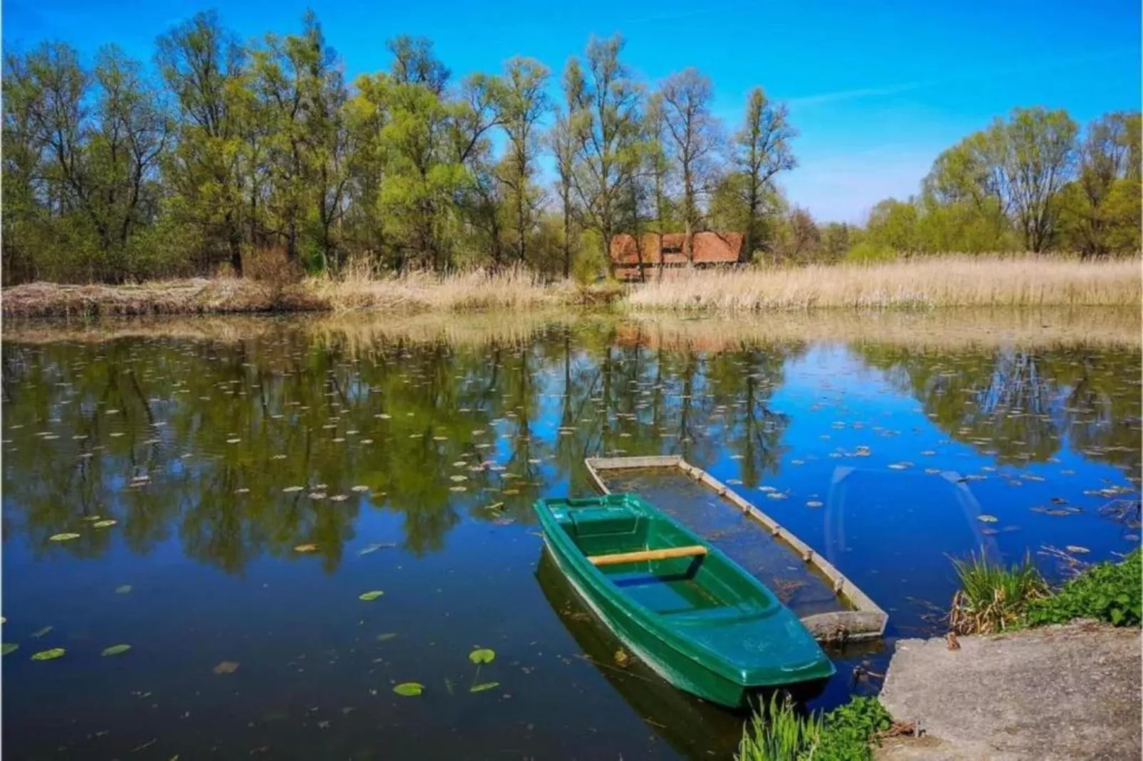 Apartment Dramalj-Areas within 1km in summer
