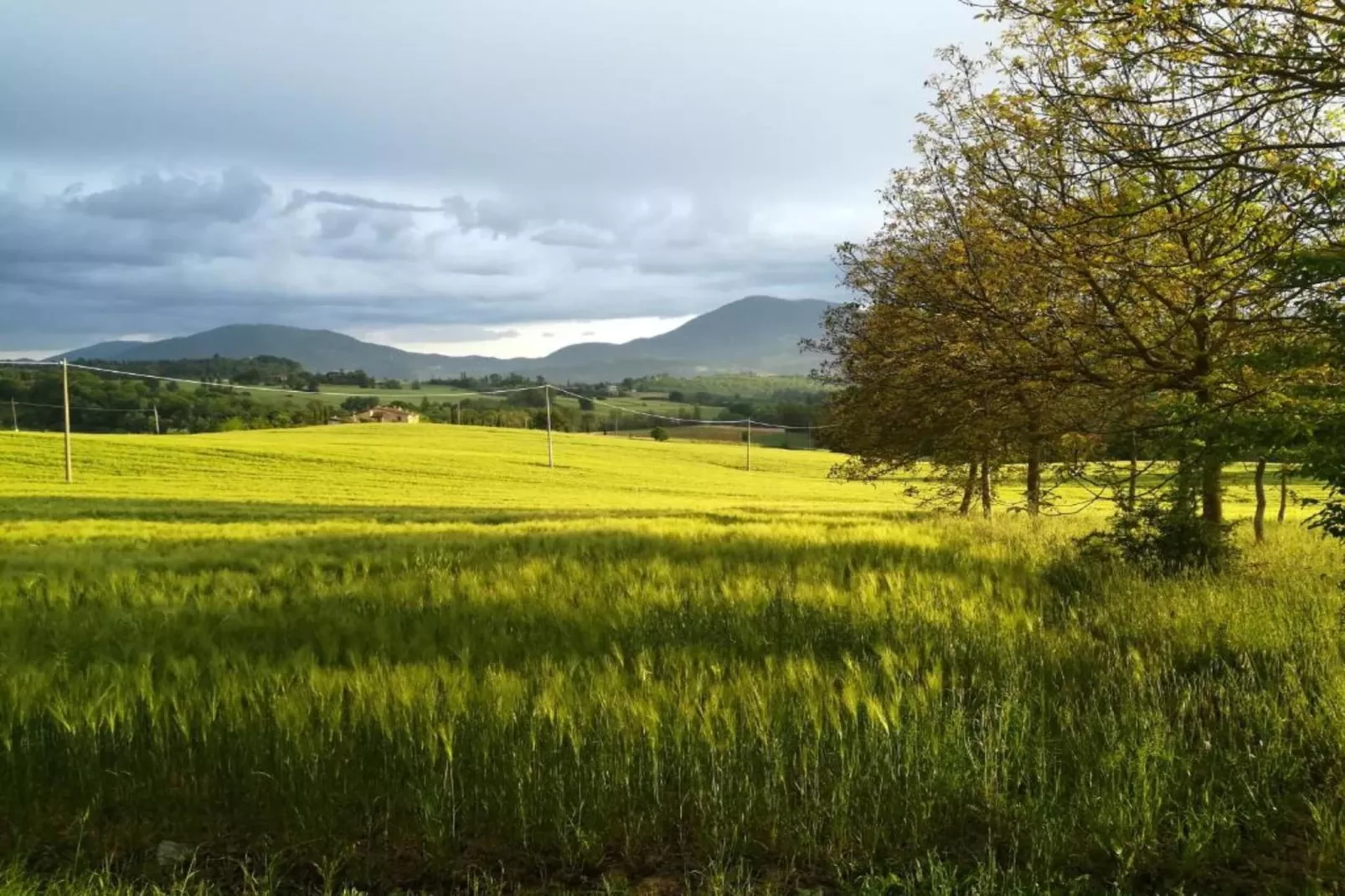 Il Giardiniere-Gebiete Sommer 5 km